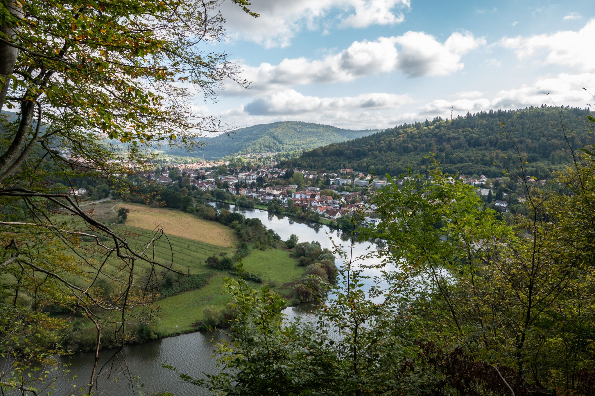 Neckargemünd