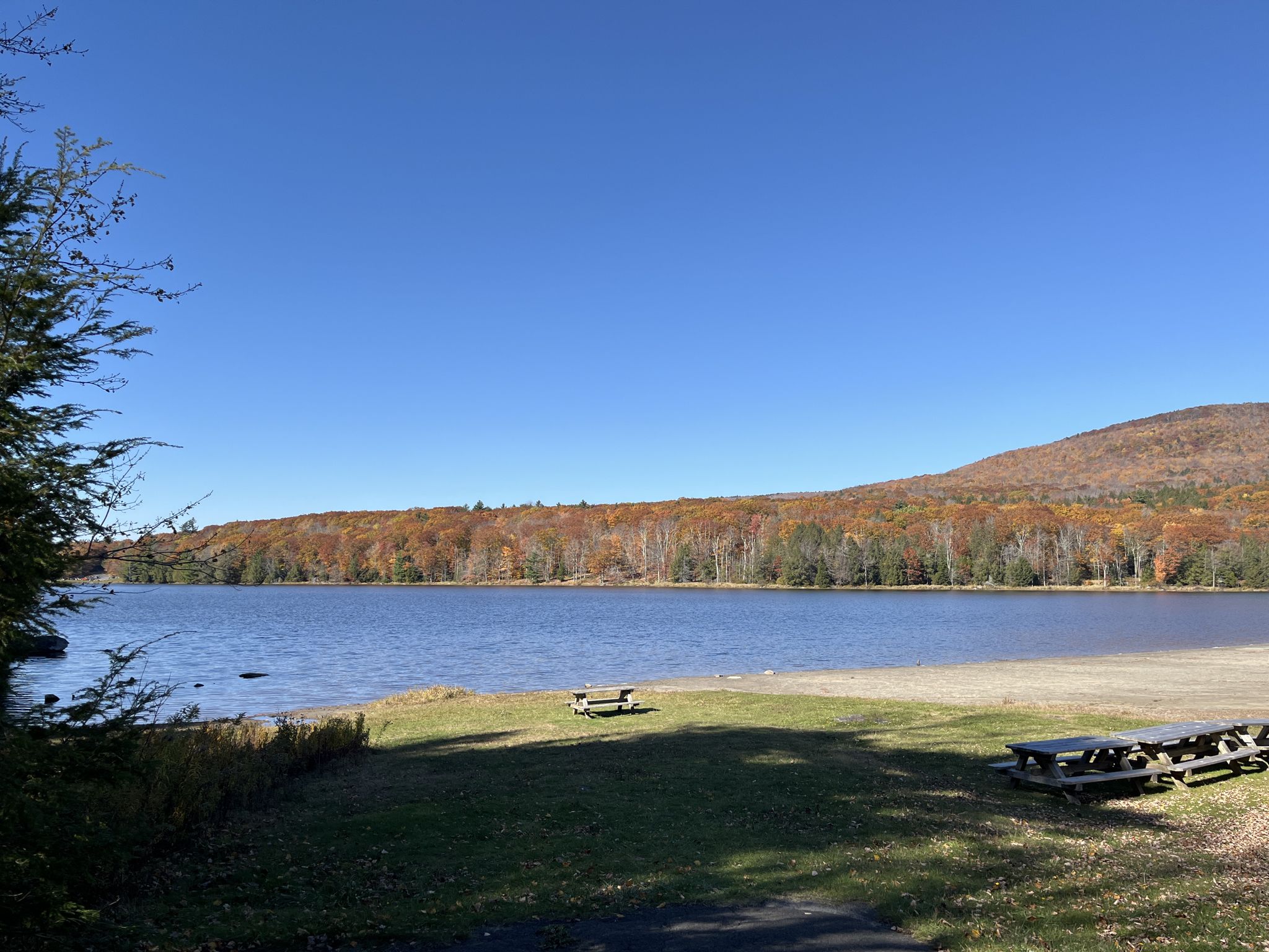 Lake with autumn trees, picnic tables, and a clear blue sky. - Escarpment Trail Loop