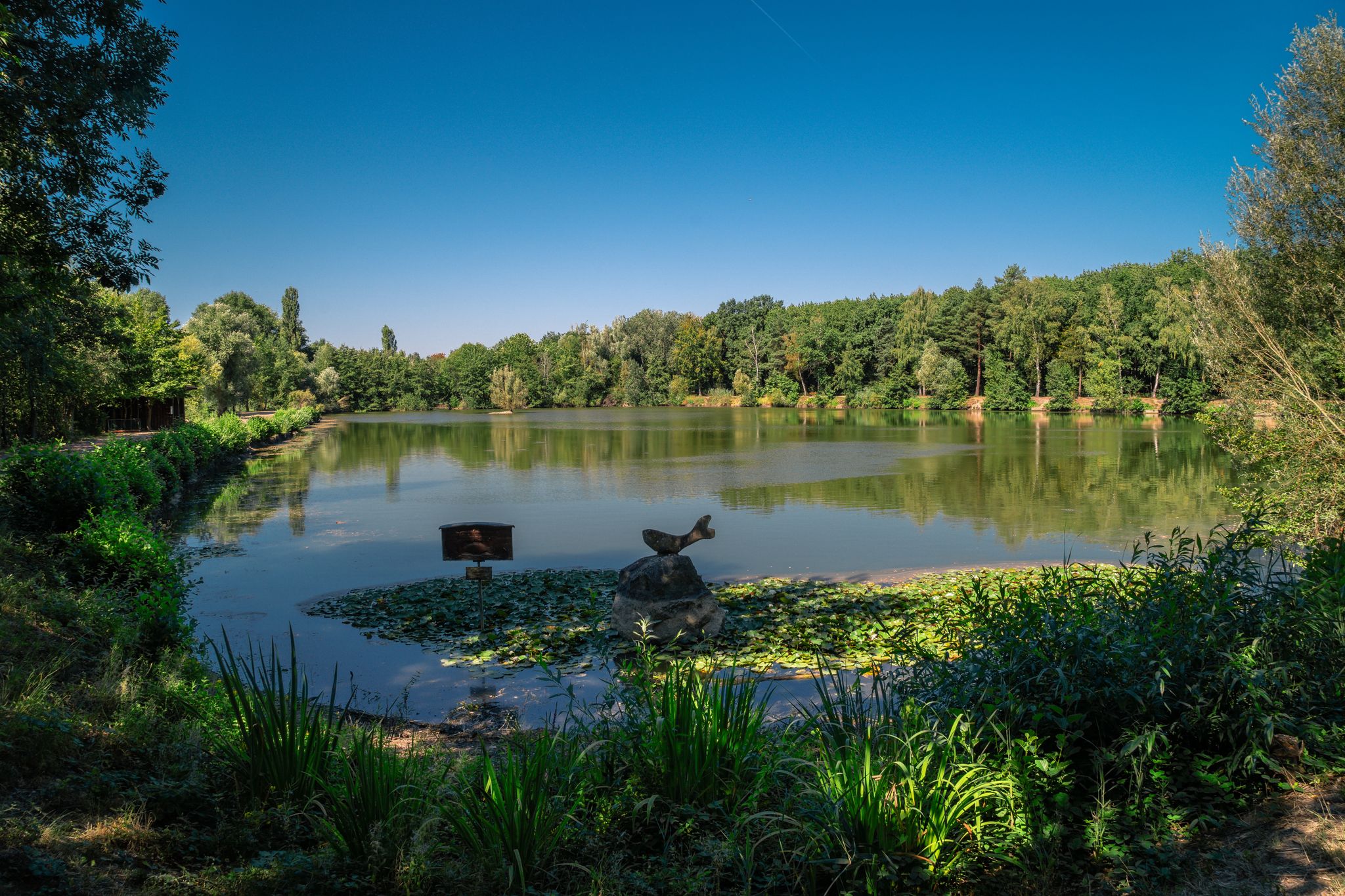 Bärensee bei Offenbach an der Queich