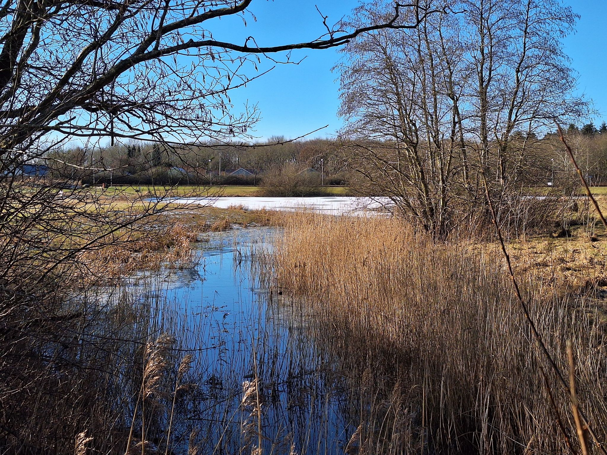 Schöner Park in Billund