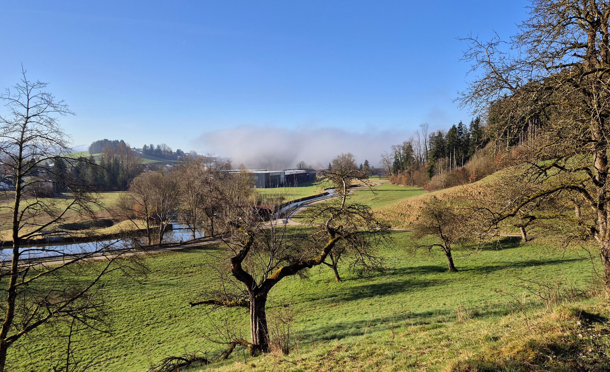 Die Nebelwolke verdeckt die Sicht in die  Schweizer Alpen
