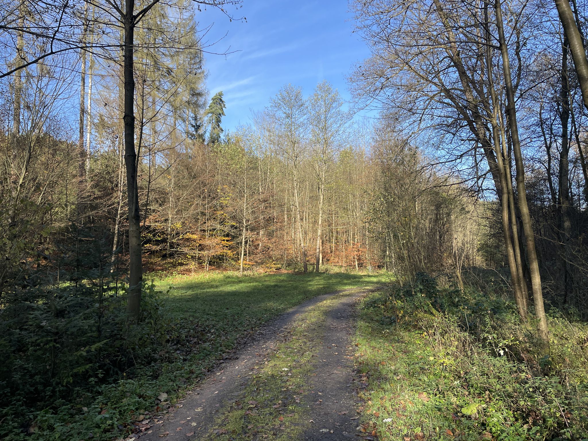 Heiliger Ort (kelt. totmagos->Feld)
