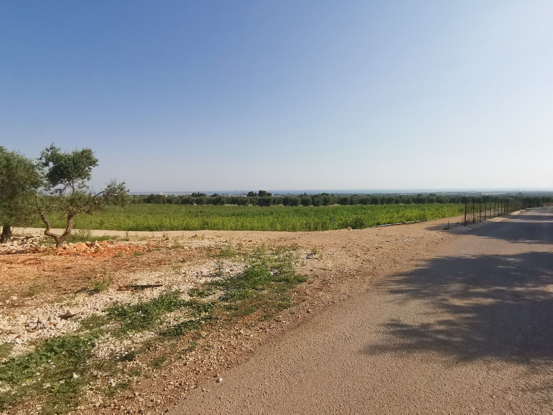 panorama