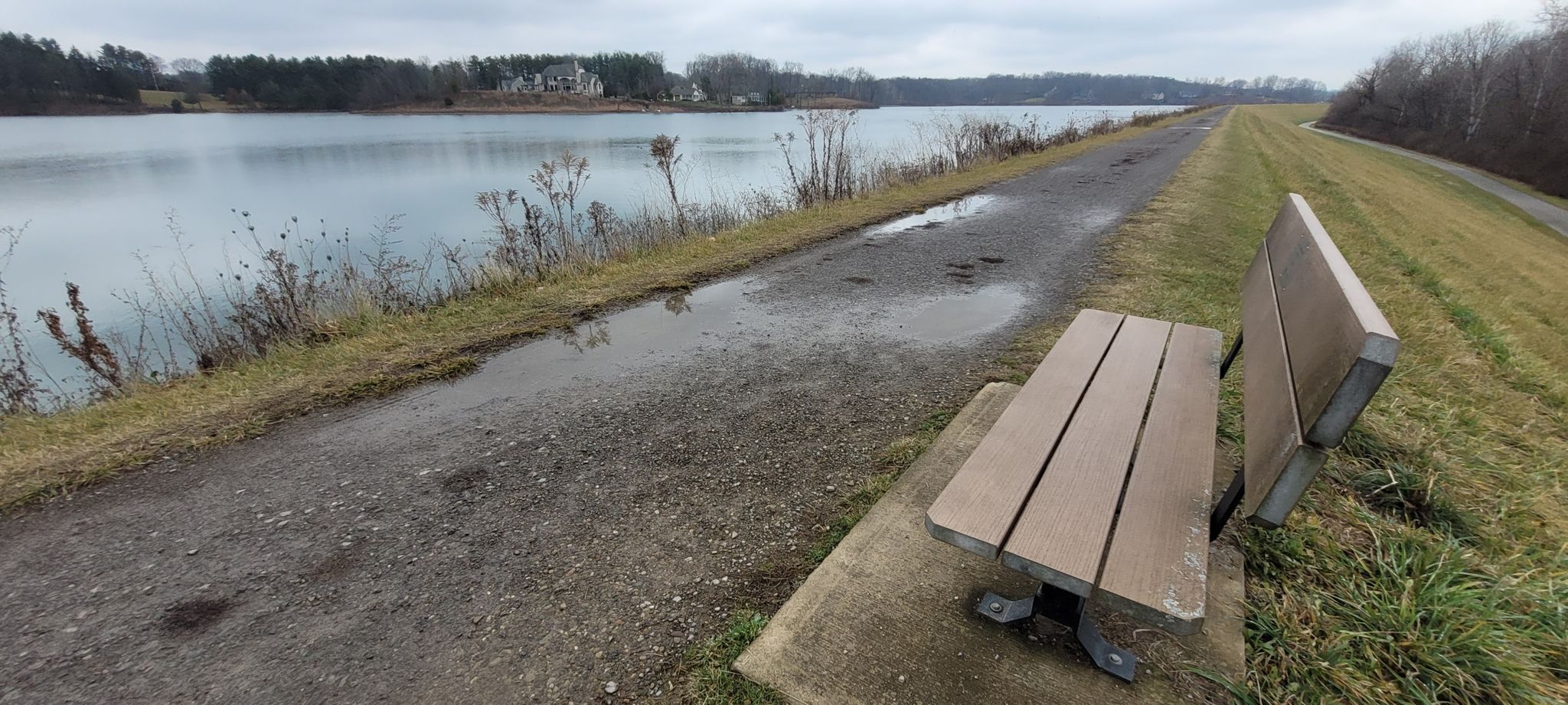 Park bench next to a wet path overlooking a lake on an overcast day. - Lake Medina loop from Yours Truly Restaurant