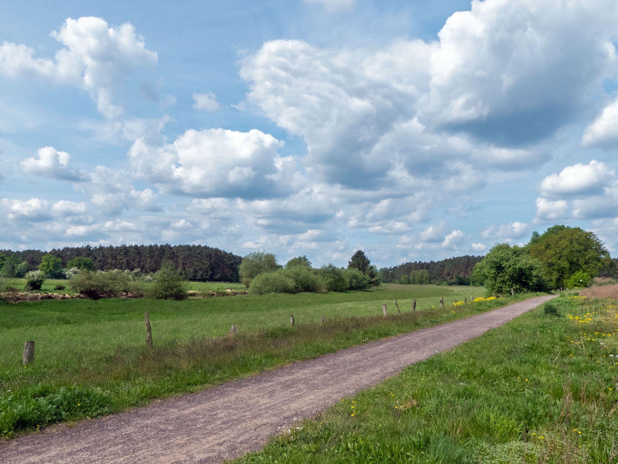 Schöner Weg an der Aller