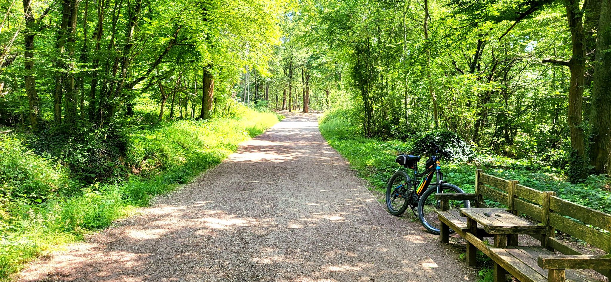 Route Forestière des Carrières