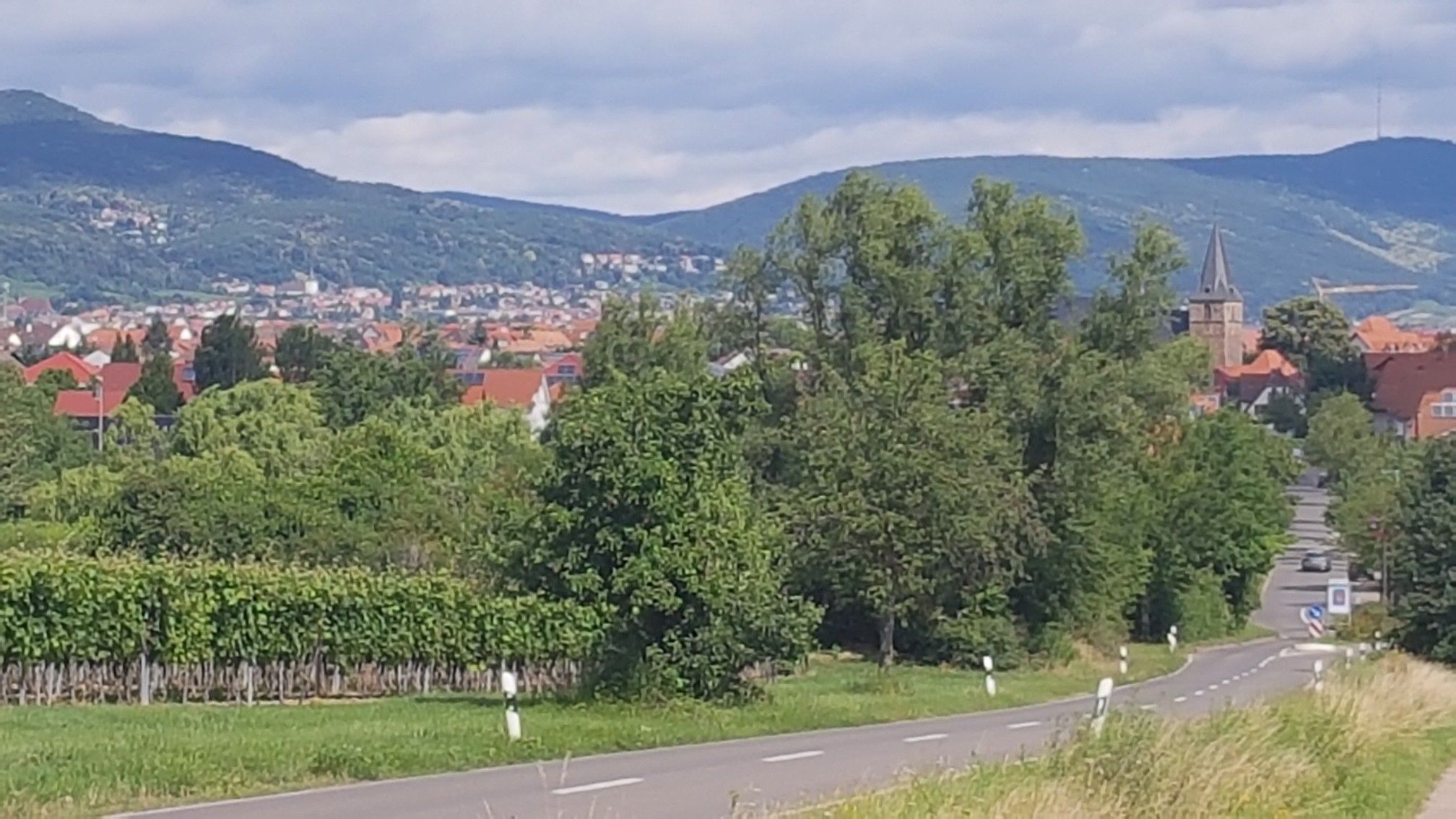 Kirrweiler 
