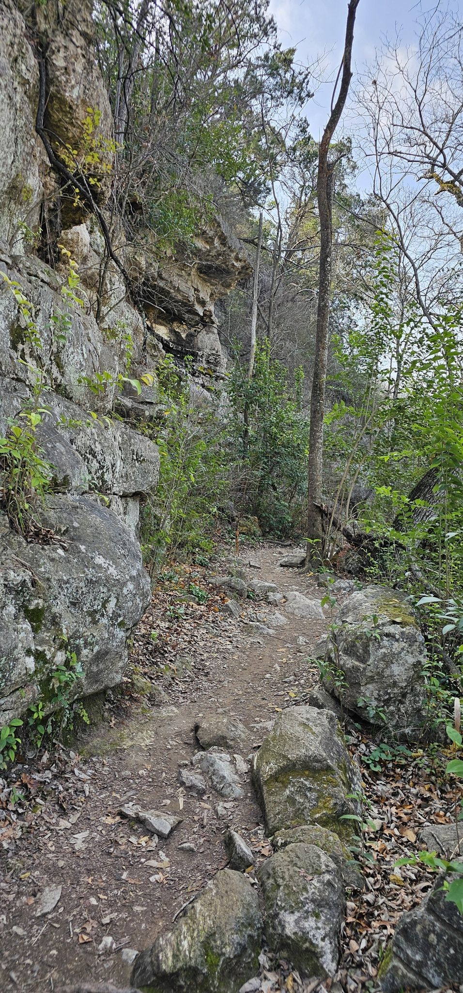 A narrow, rocky trail at the base of a tall, moss-covered cliff. - Violet Crown Trail: 360 Trailhead to 290 Trailhead