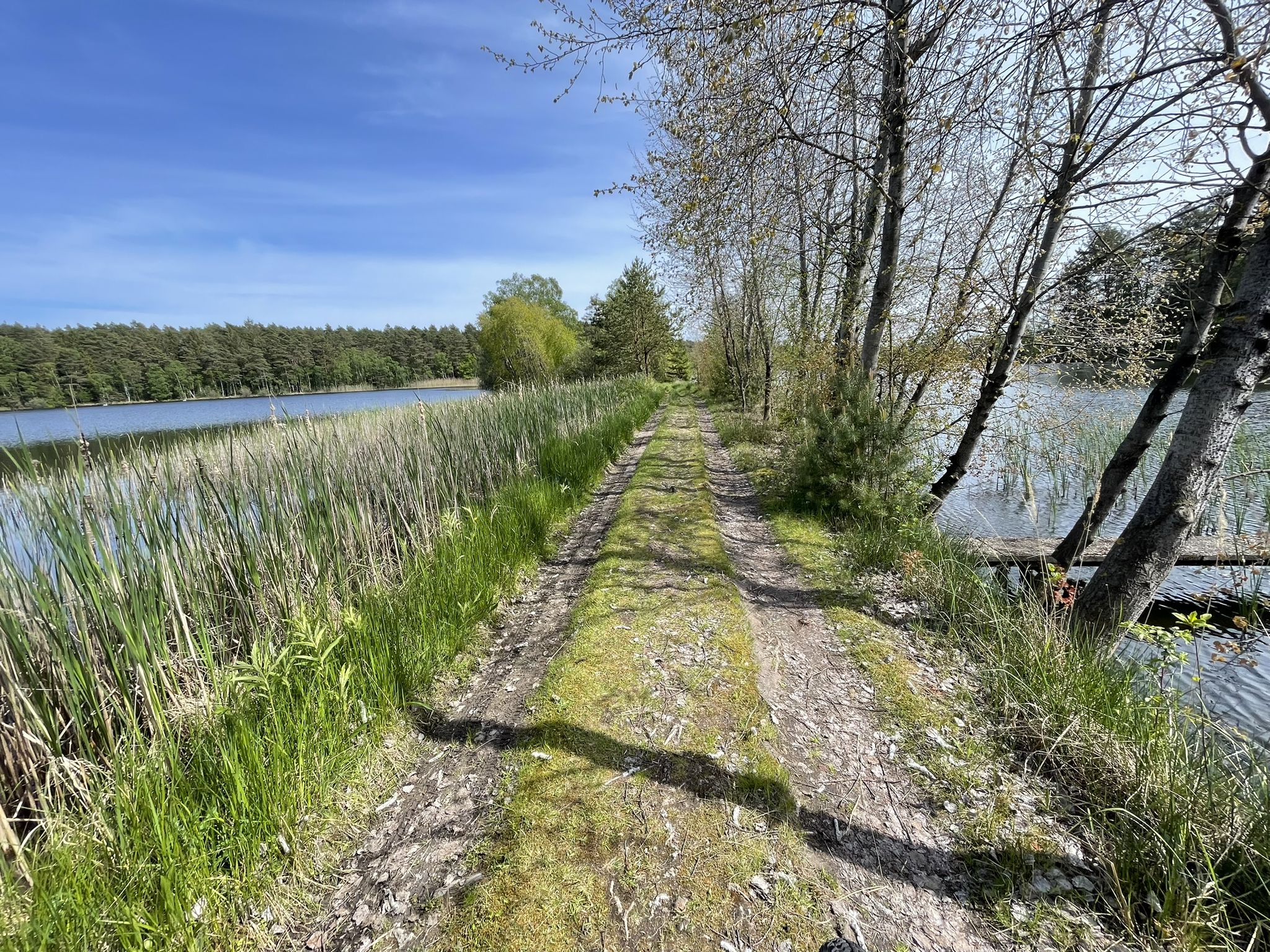 Aschauteiche - Wasser ohne Ende