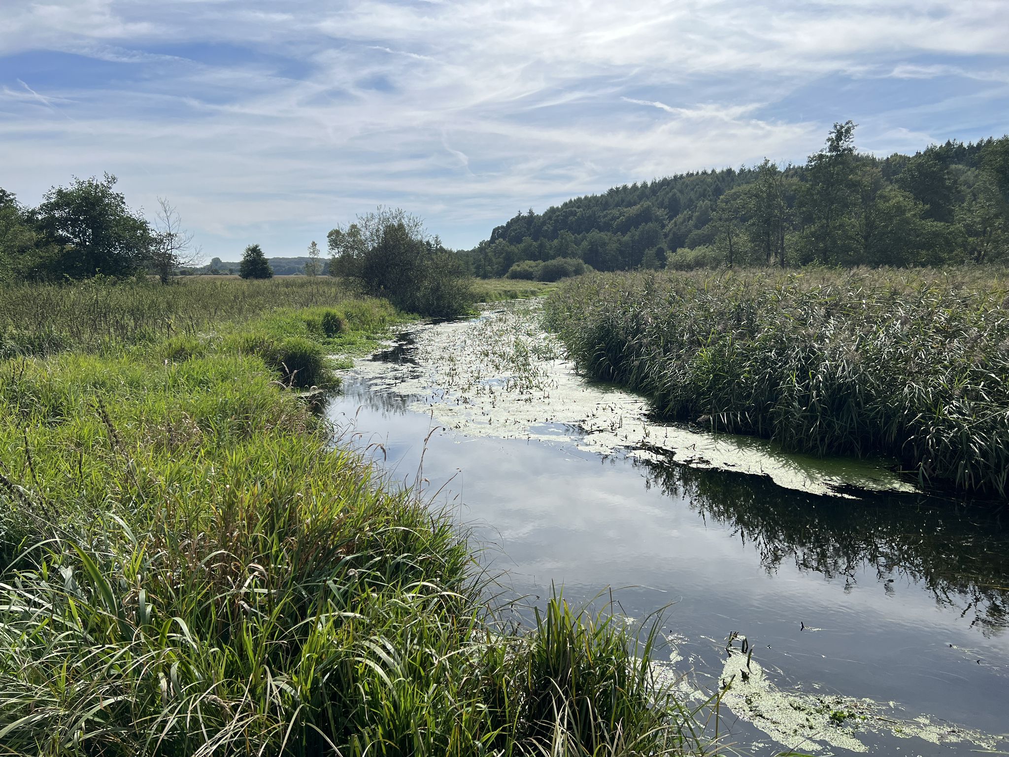 Blaue Brücke, Eider / Eidertal