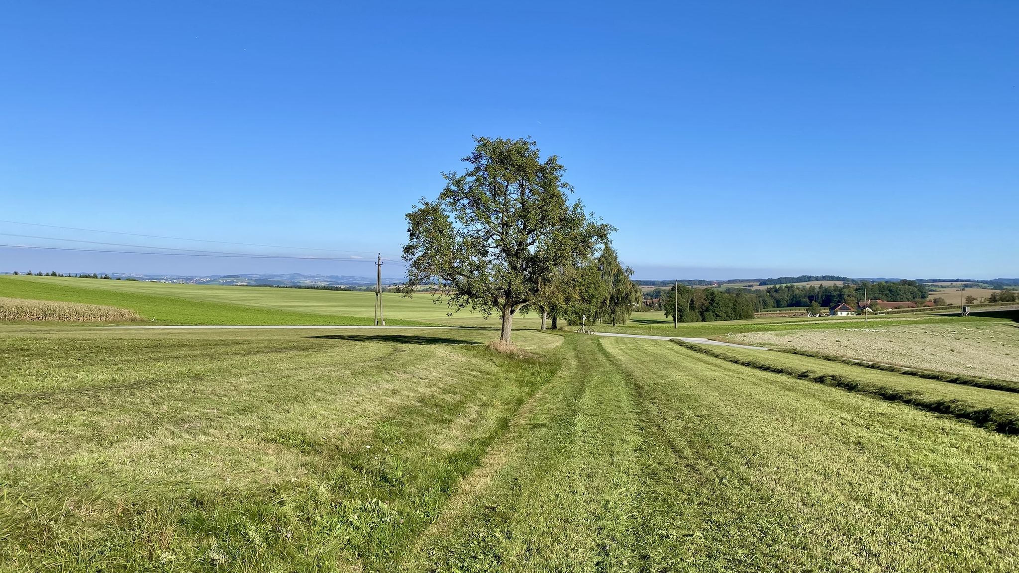 herrliches Hügelland bei Bayrisch-Habach