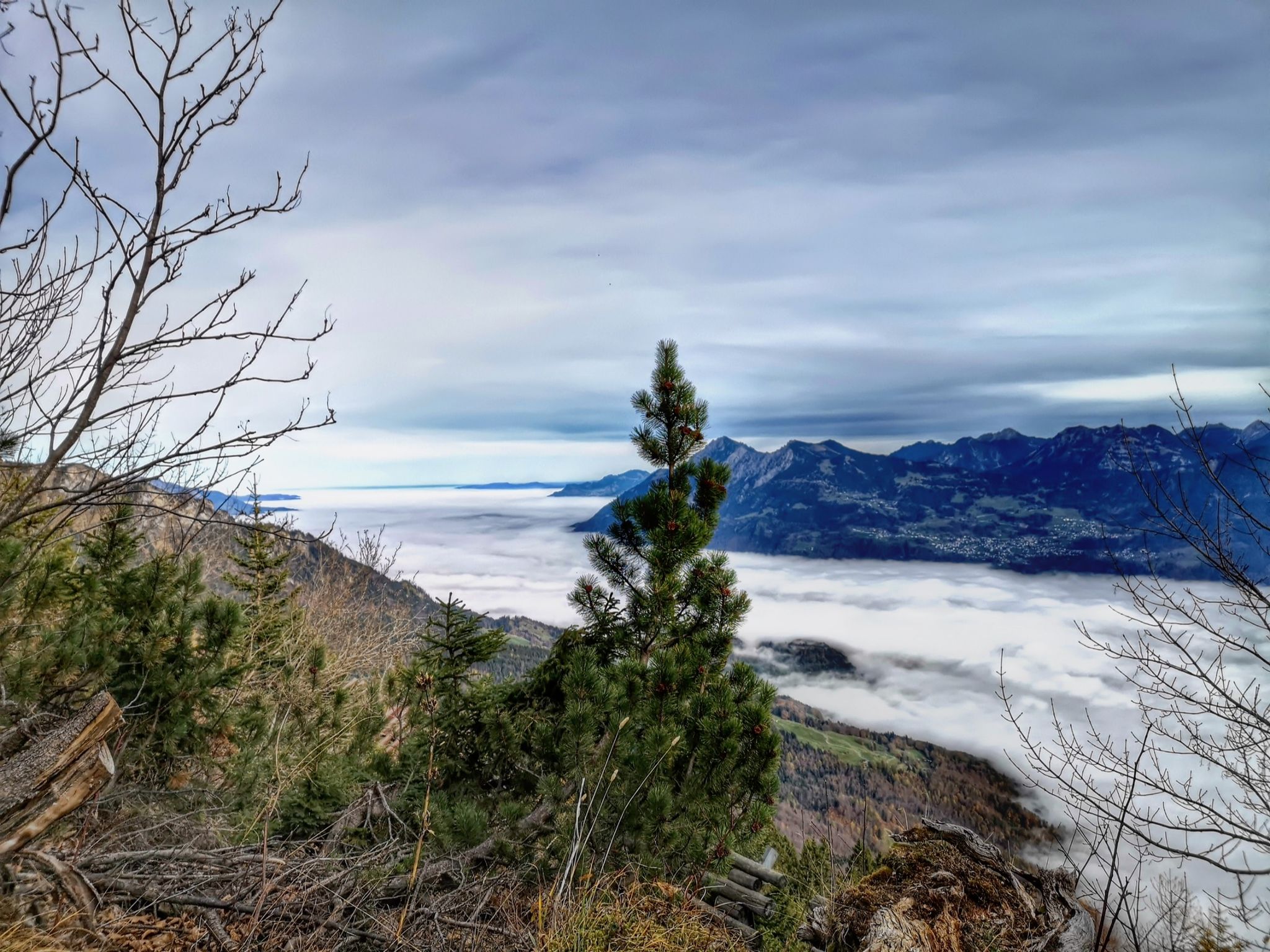 schön, wenn man über dem Nebelmeer sein kann 🥰🥰🥰