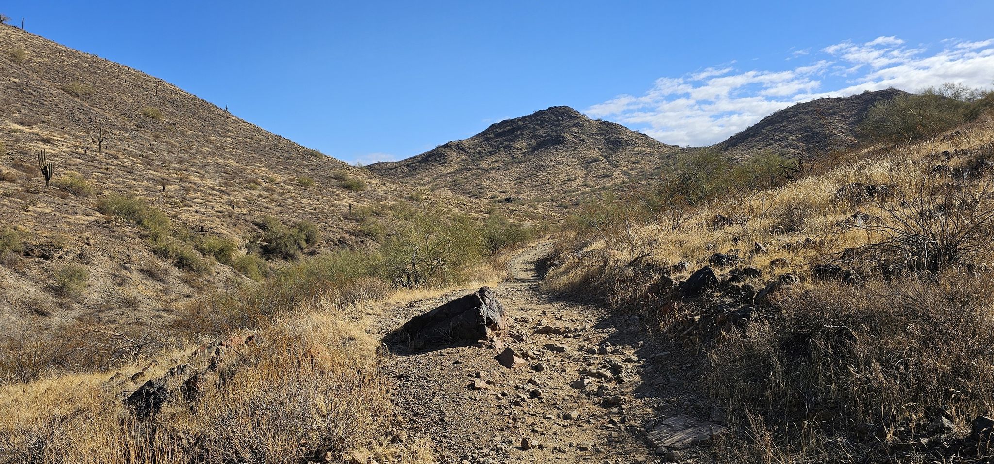 Rocky desert trail winding through dry, brush-covered hills under a clear blue sky. - Dixie Mountain Loop