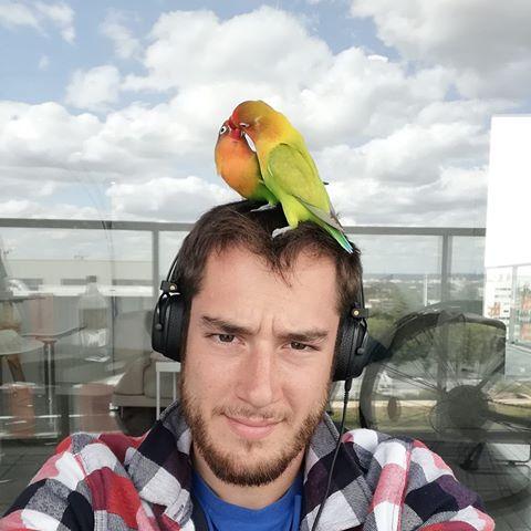 user avatar
