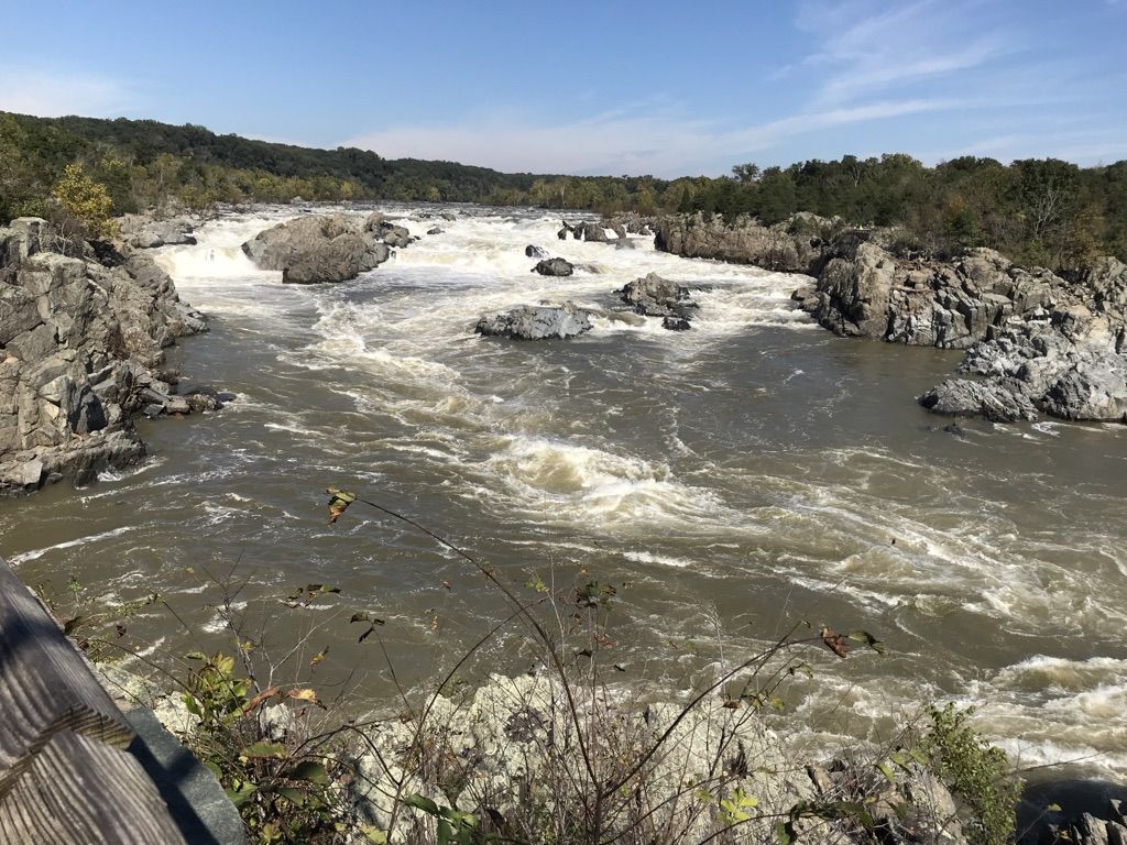 Wide river with turbulent rapids flowing through rocky landscape under clear sky. - Great Falls Park to Riverbend Park Loop