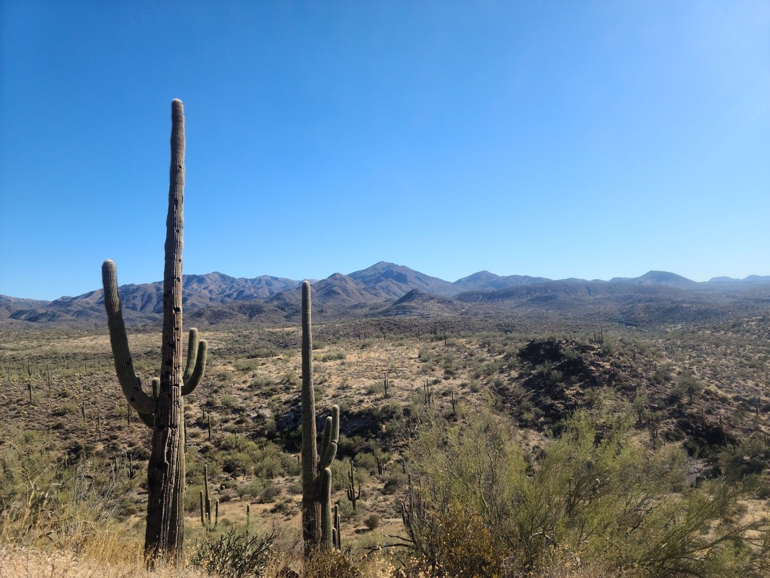 Elephant Mountain Loop Trail | hike | Komoot