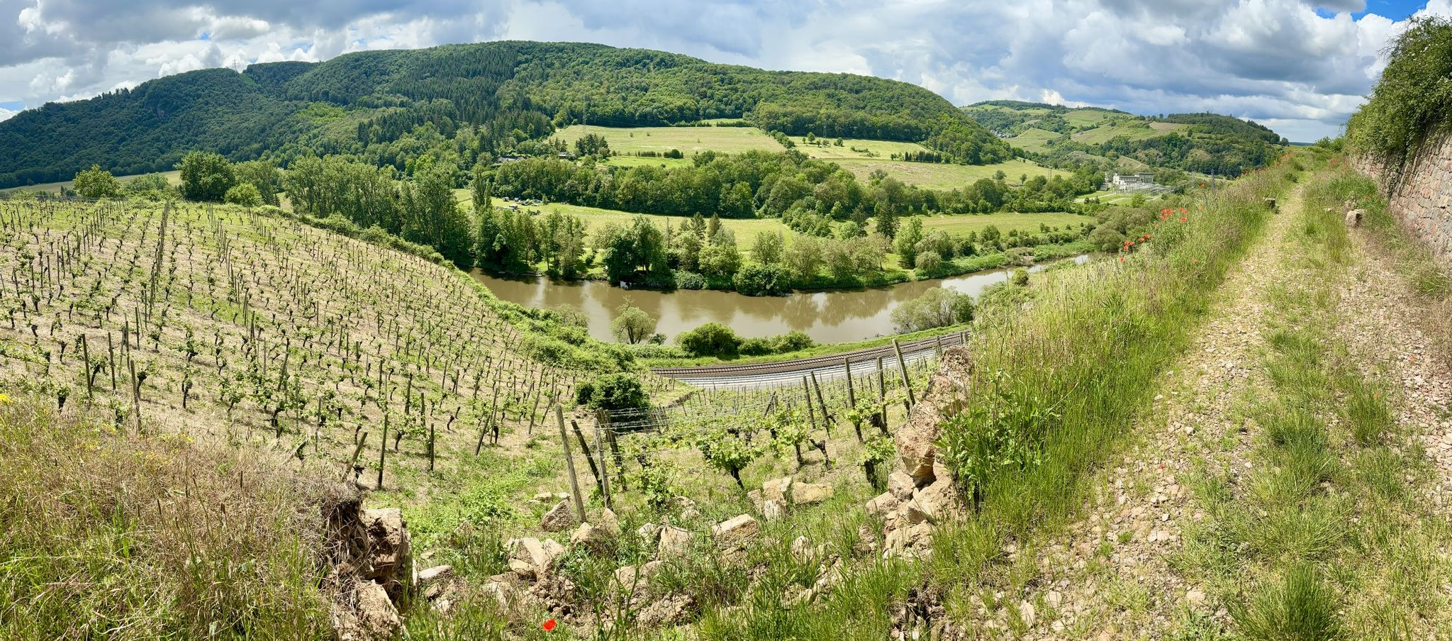 In der Norheimer Weinlage "Dellchen"