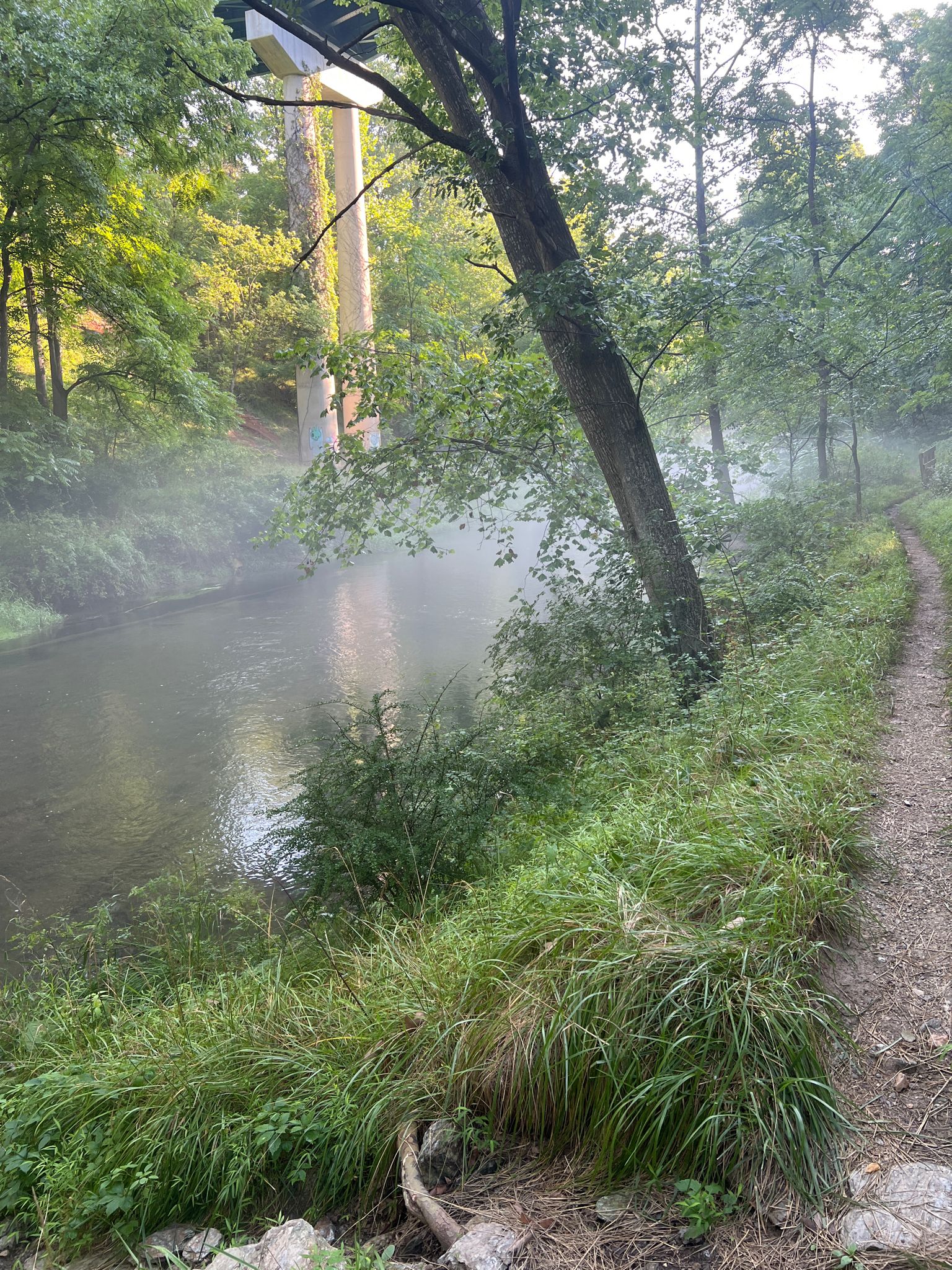 Misty river flowing through a lush forest with a dirt path nearby. - Gunpowder Falls Big Loop