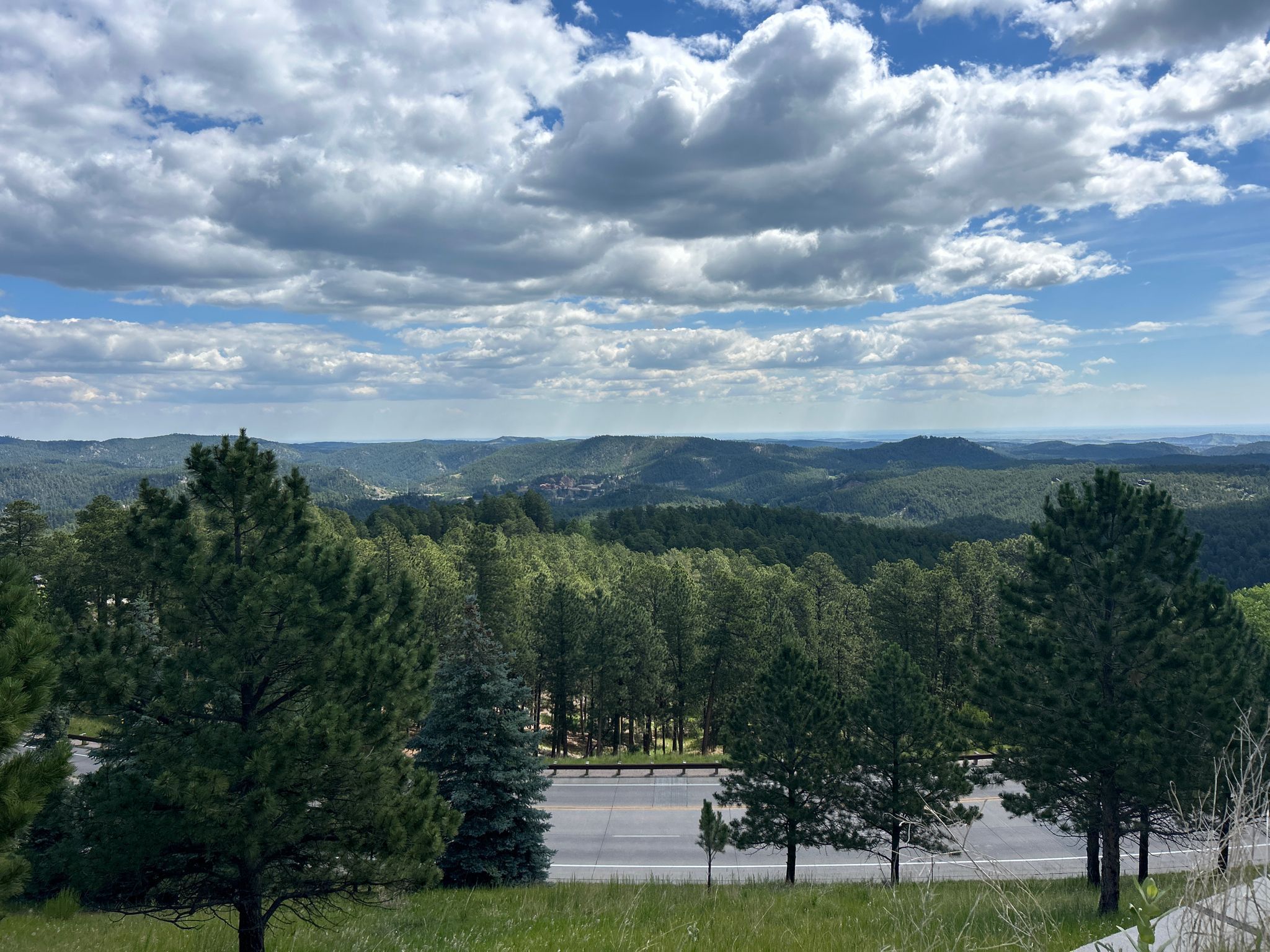 Expansive view of green forested hills and distant mountains under a cloudy sky. - Memorial Team Ice Cream – Hill City loop from Hill City