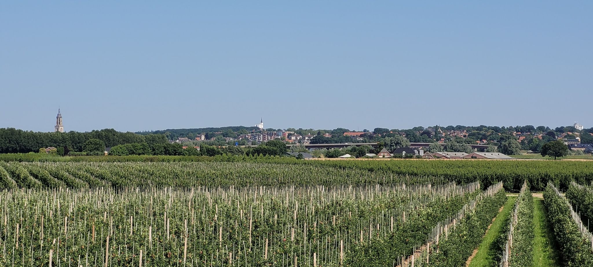 vanaf dijk kijkend op Rhenen .