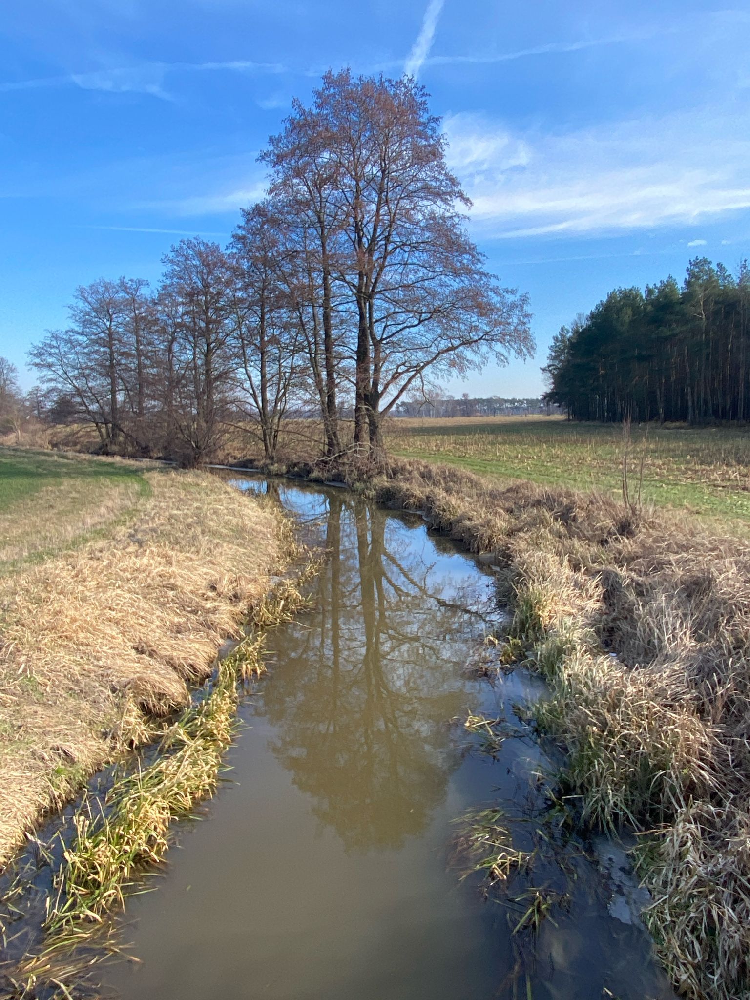 Neugraben