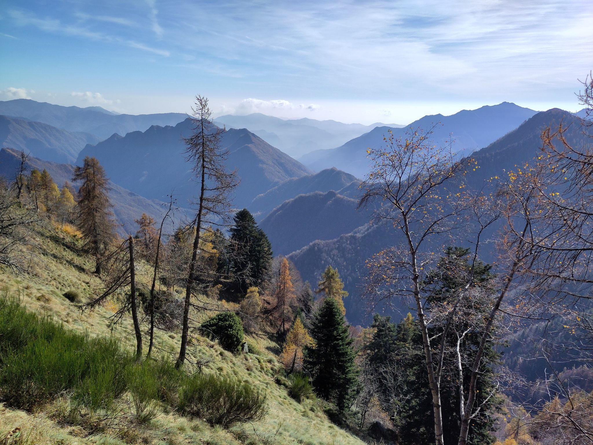 Veduta da Villa Danise o Banfi