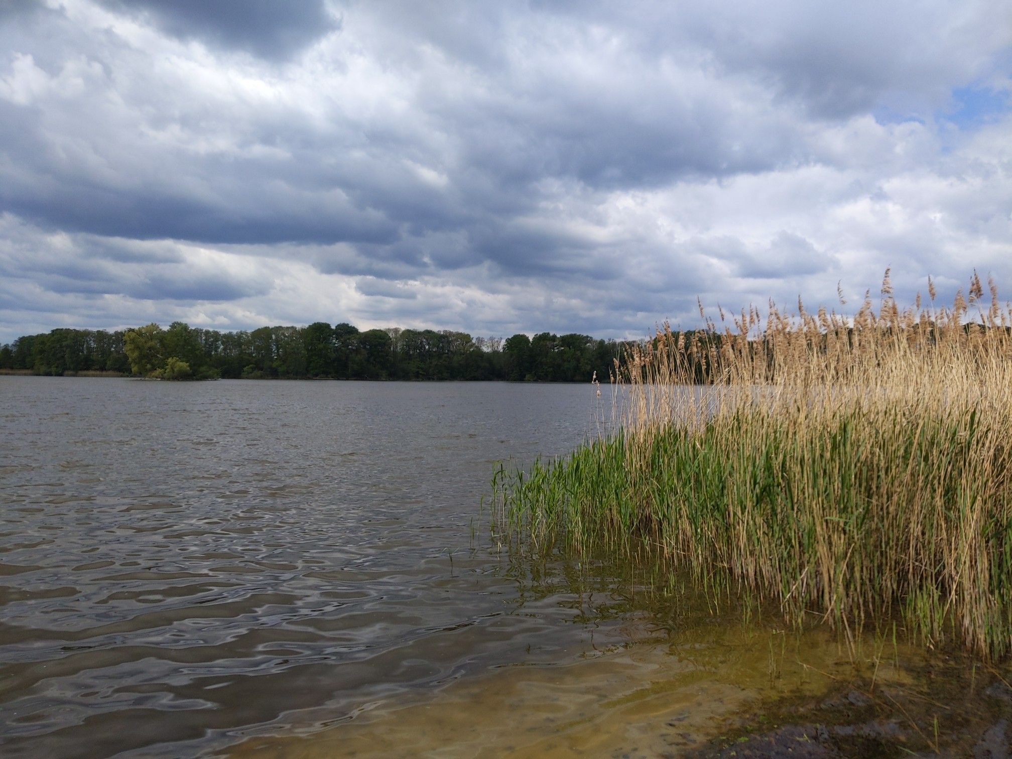 Boissower See