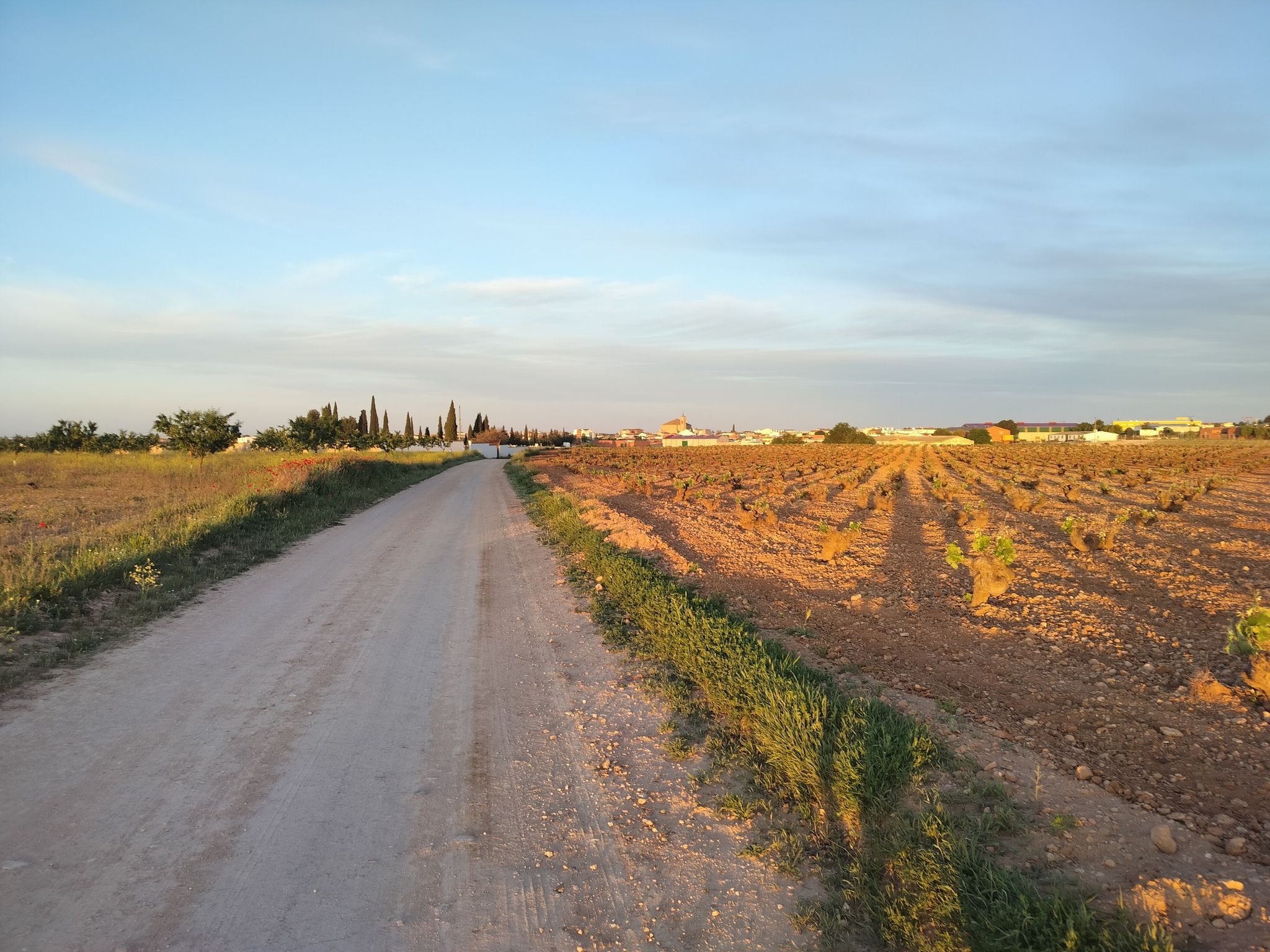 Villanueva