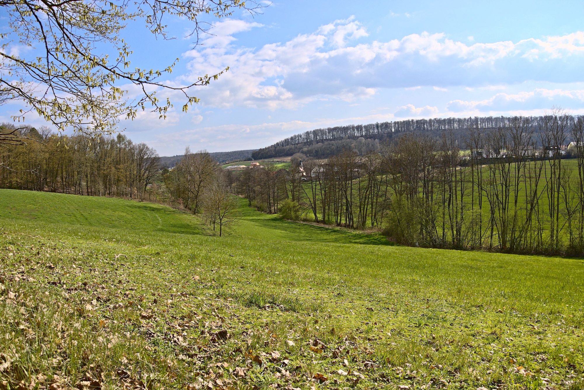 Blick ins Tal nach Obersteinbach. Unten schlängelt sich der Erlesbach.