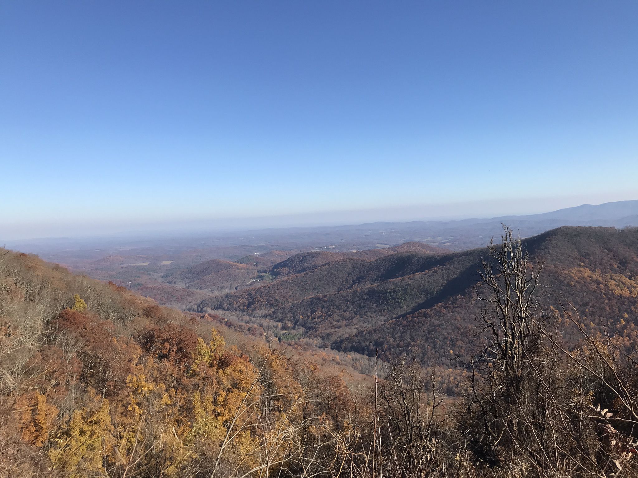 Panoramic view of rolling mountains with autumn foliage under a clear blue sky. - Rock Castle Gorge Loop Trail