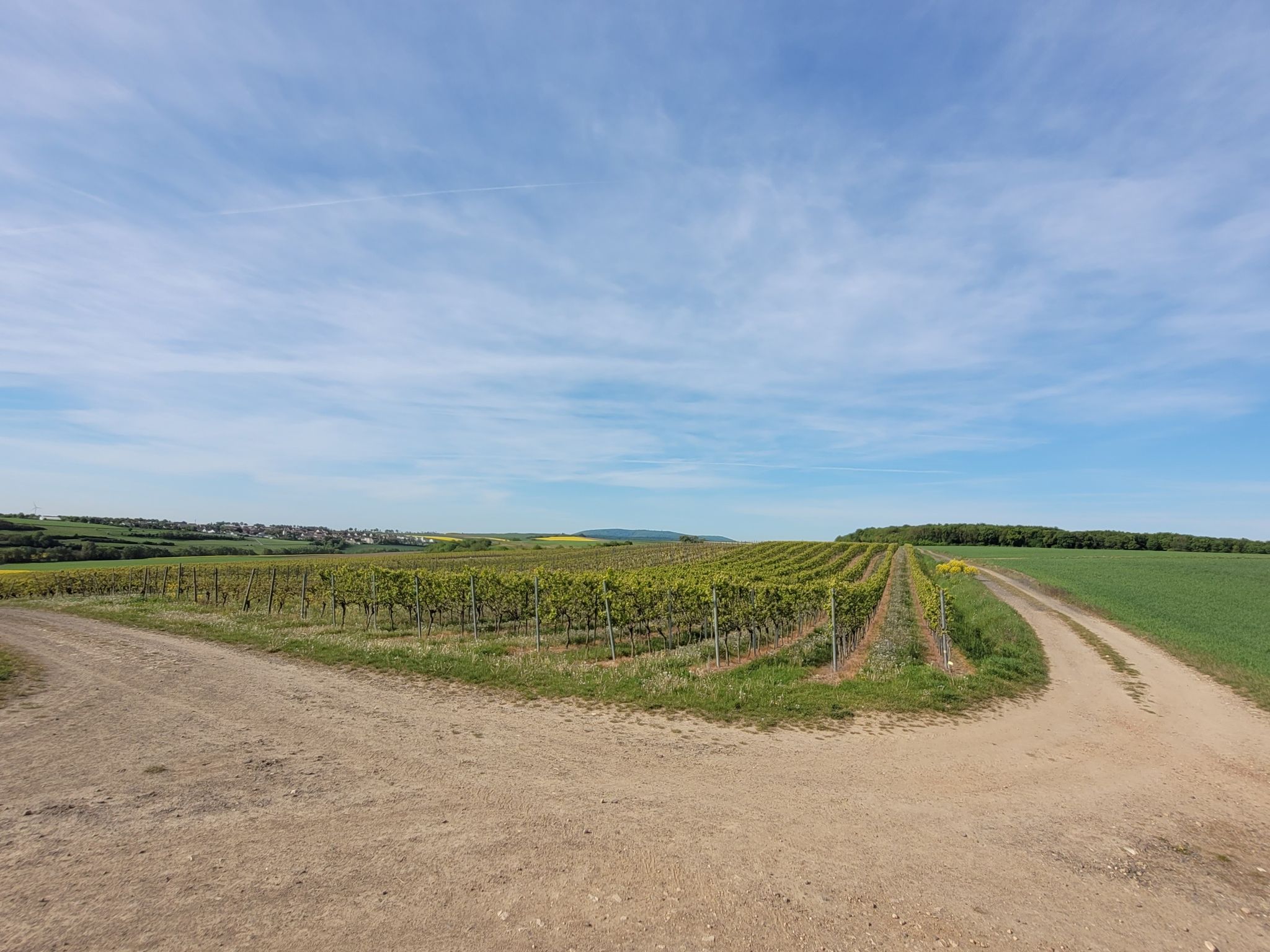 Donnersberg 