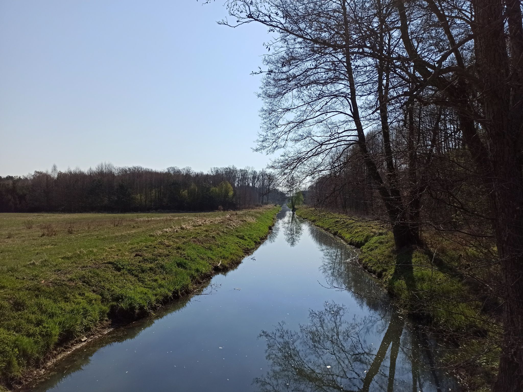 Krzycki Rów