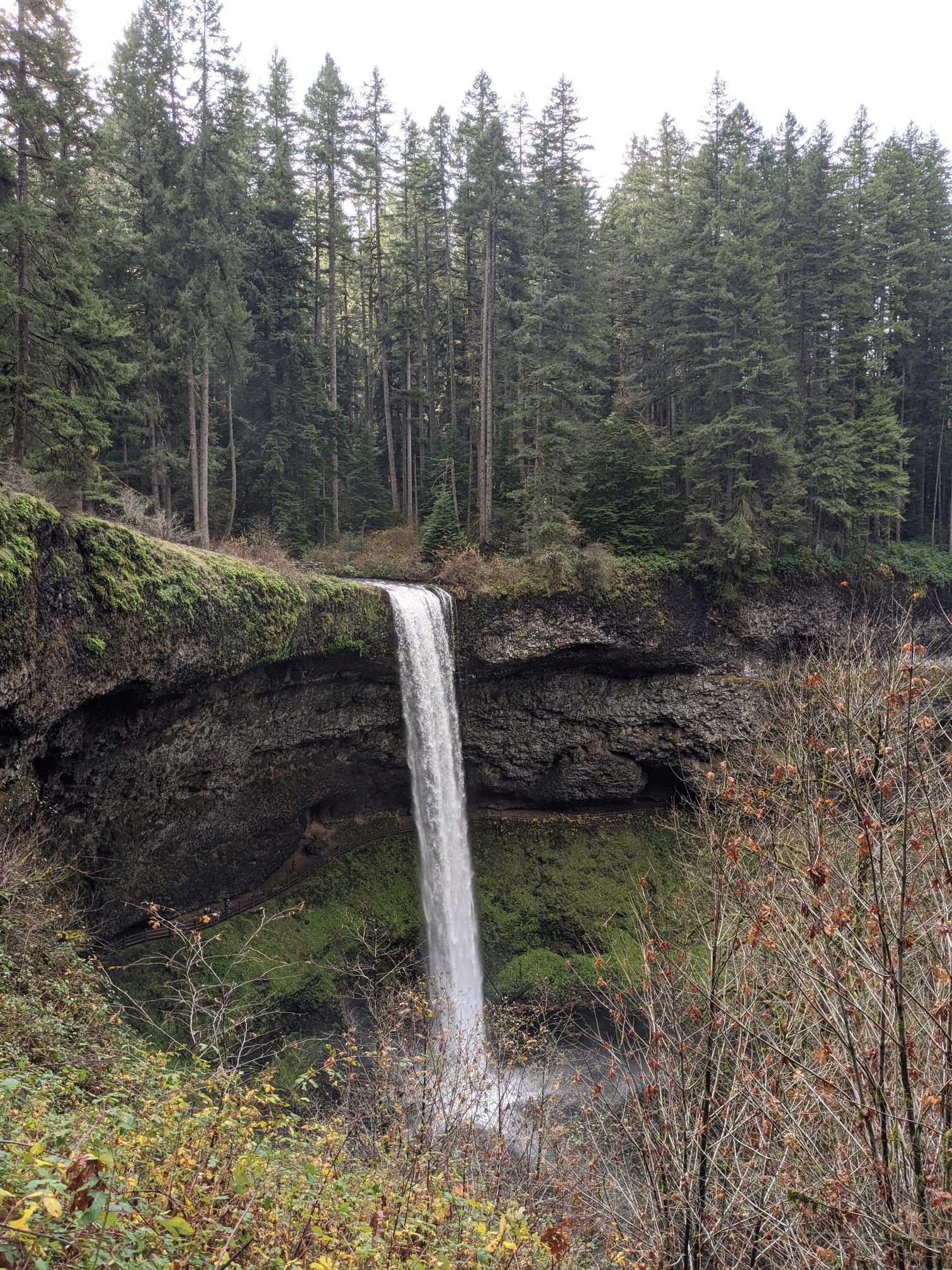 Waterfall plunging over a mossy cliff into a rocky basin, evergreen trees above. - Lower South Falls – Trail of Ten Falls Trailhead loop from Frenchie Falls
