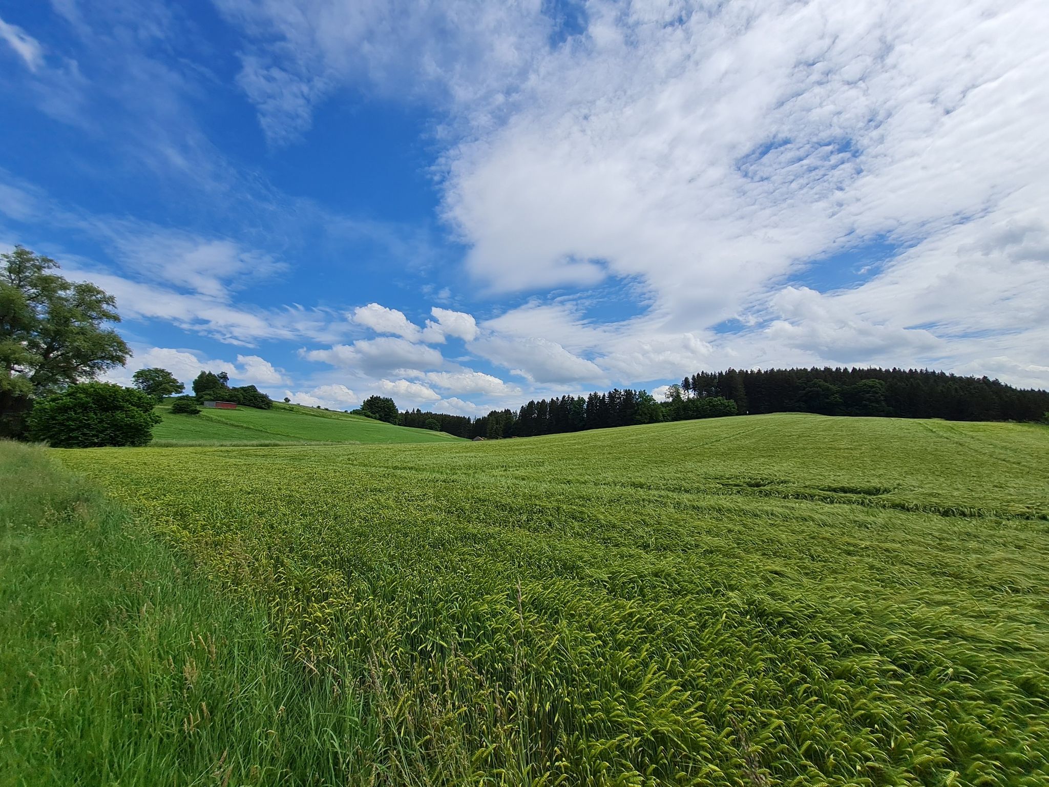 Bei Schönenberg