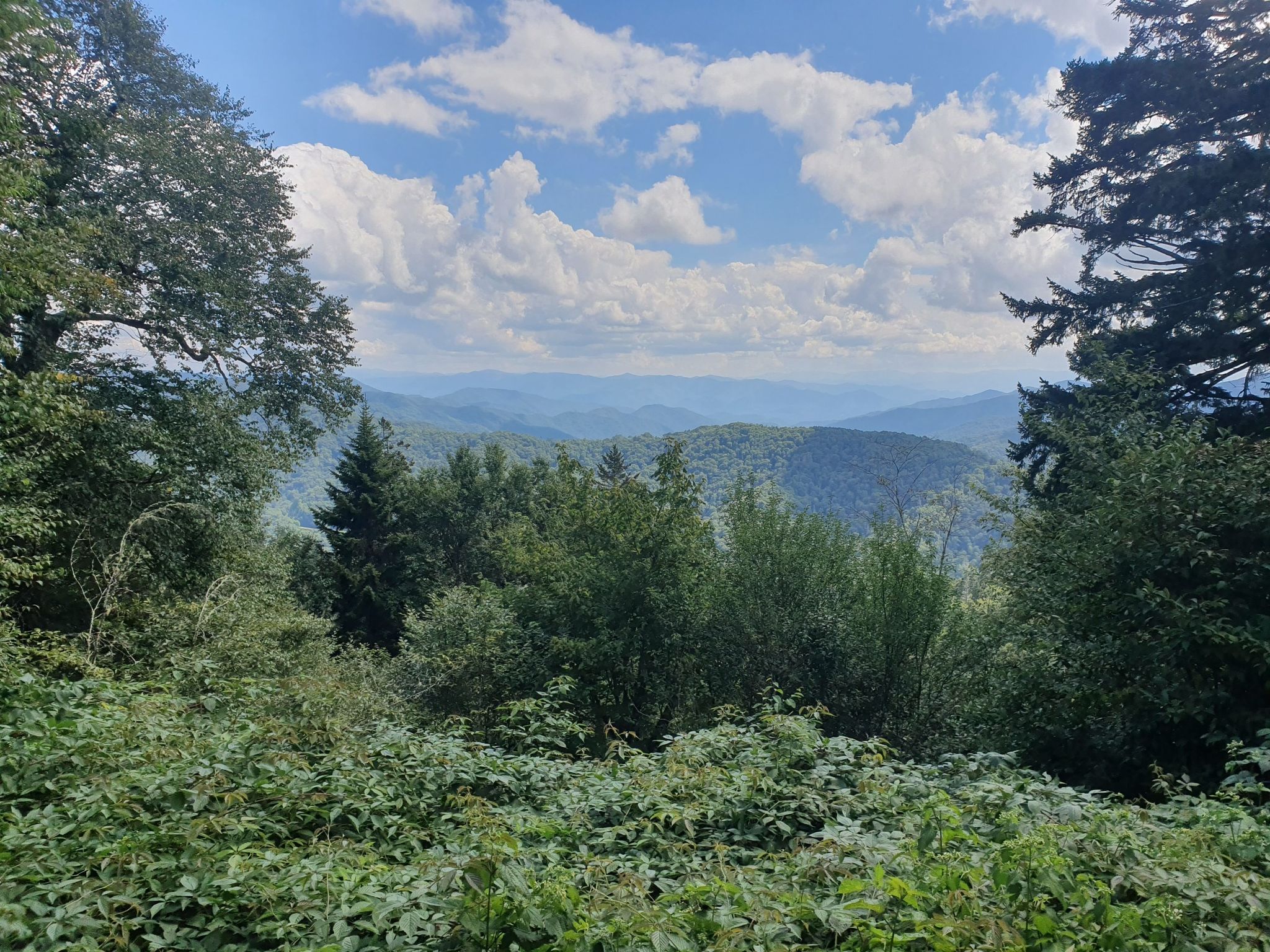 Forested mountain view with distant blue peaks under a partly cloudy sky. - Icewater Spring via Appalachian Trail