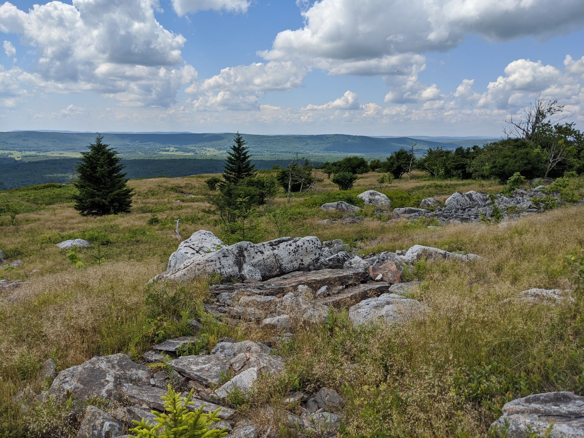 Sunny mountain landscape with scattered rocks, green grass, and distant hills. - Bear Rocks and Lions Head Loop