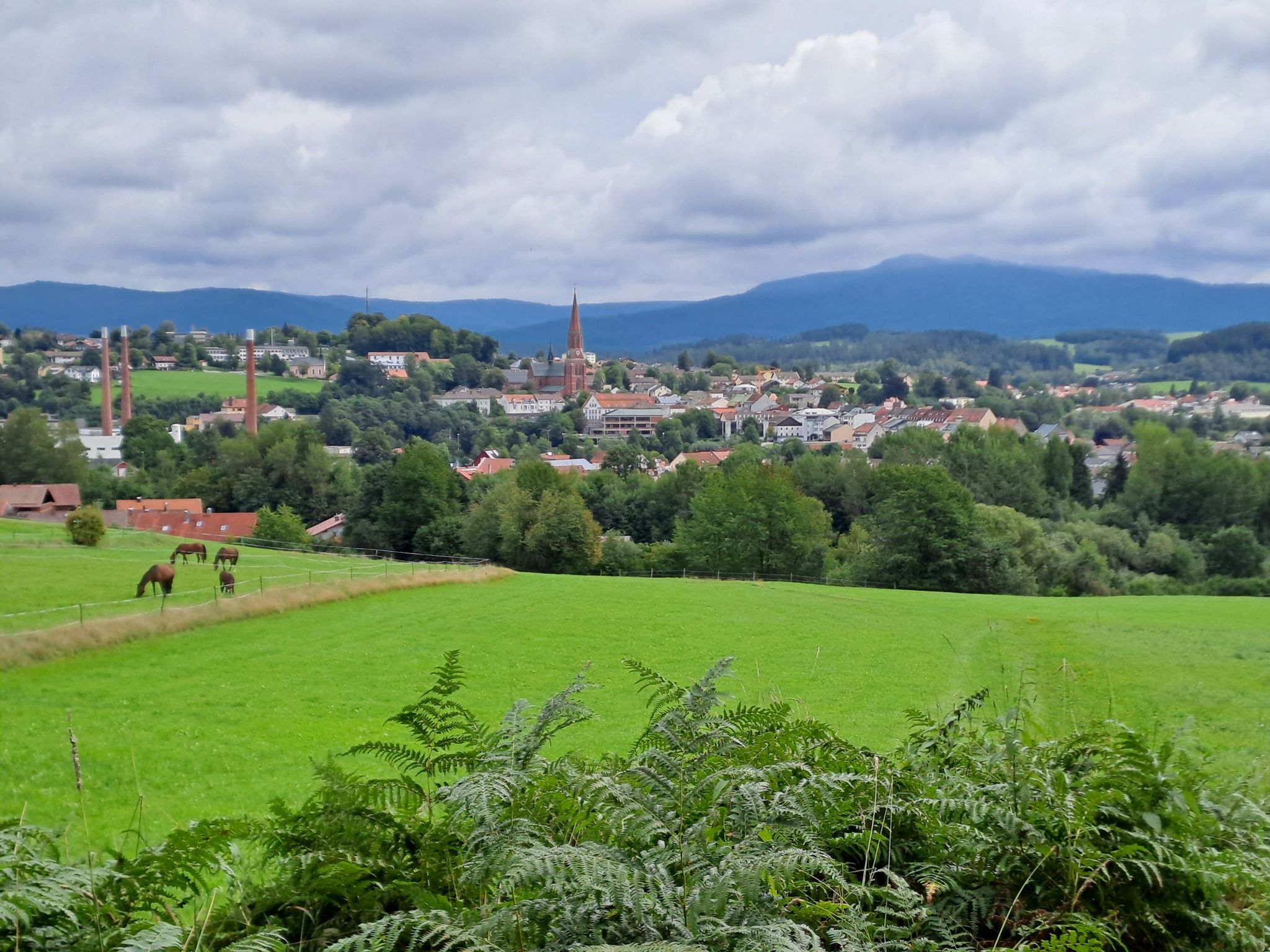 Blick auf Zwiesel