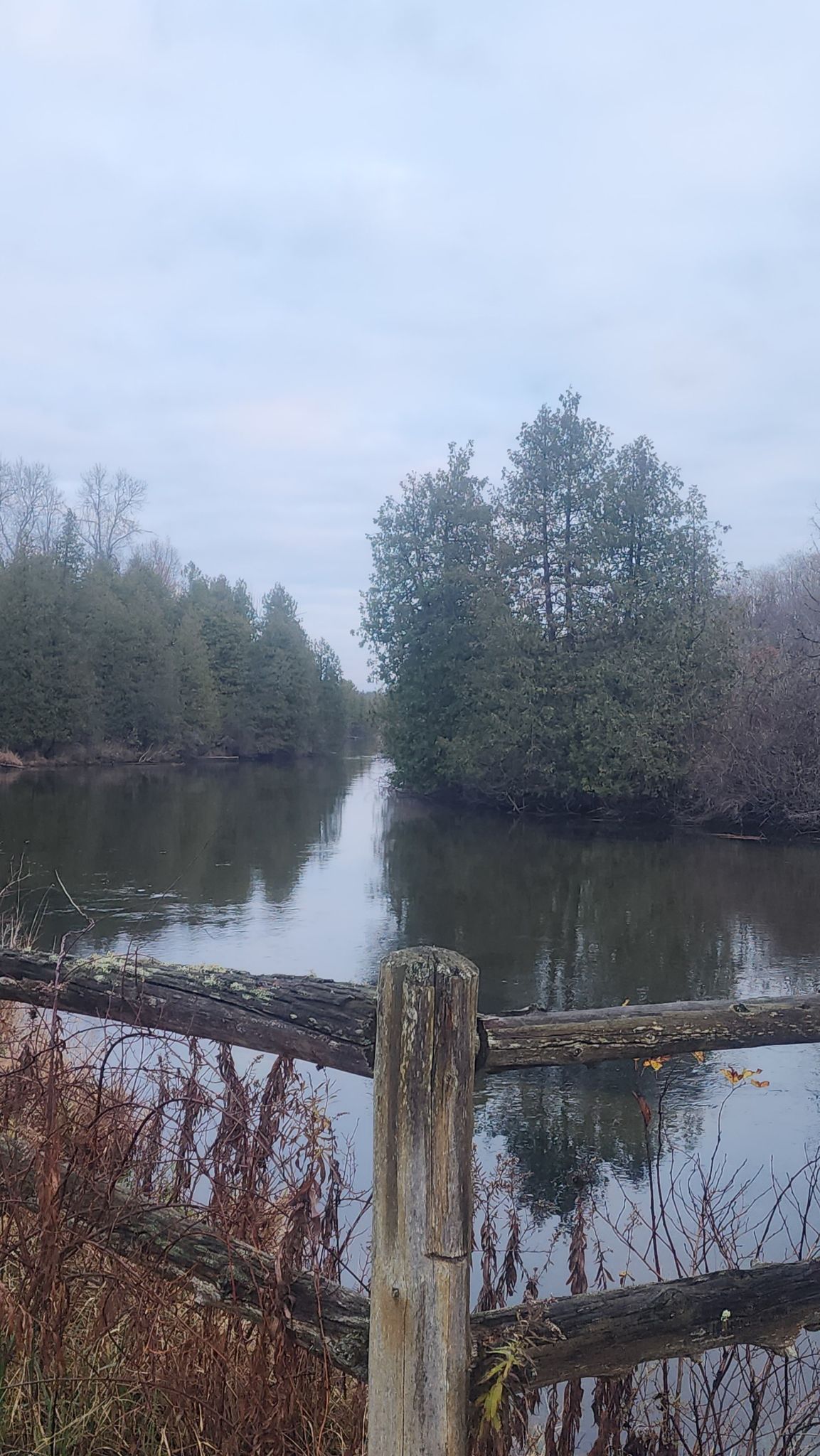 Calm river framed by a rustic wooden fence and distant evergreen trees. - Hiking loop from Miller Creek Nature Reserve