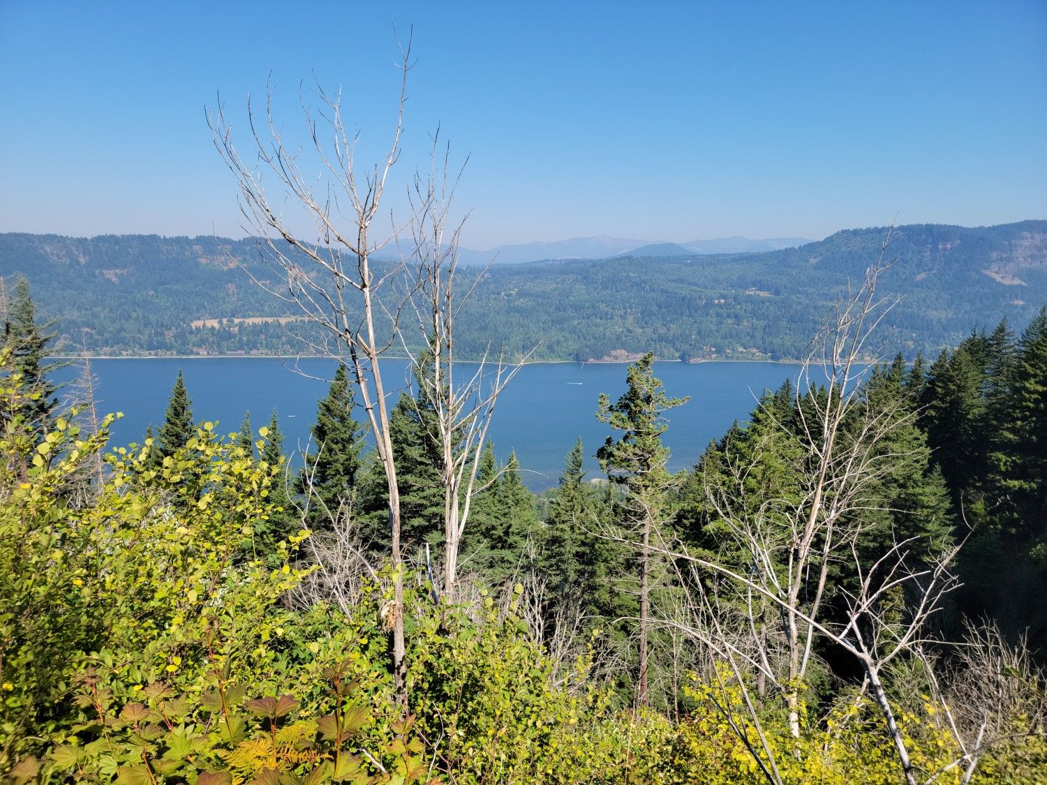Lush green trees and bushes frame a wide river with distant forested mountains. - Angel's Rest loop from Bridal Veil Falls