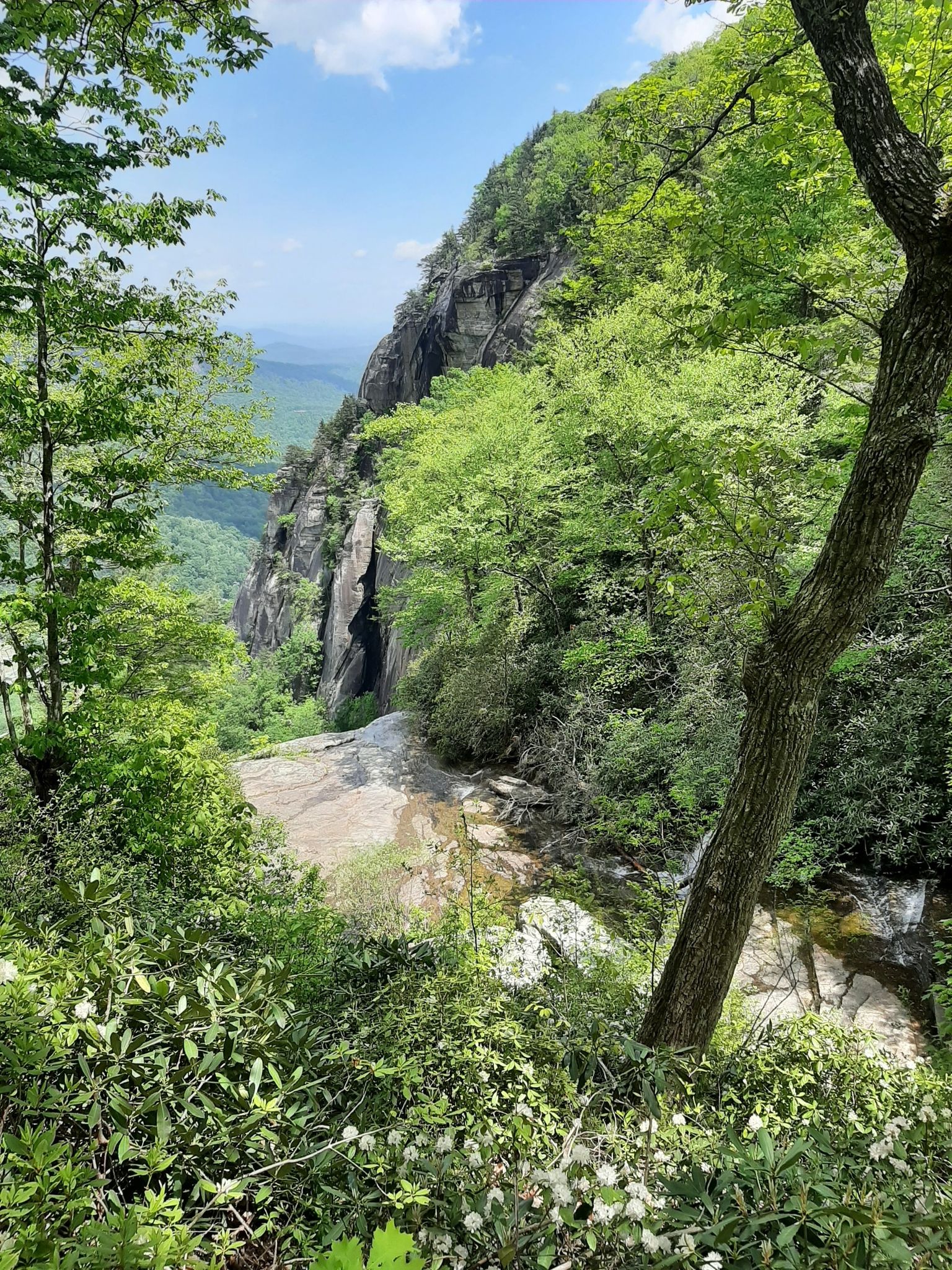 Steep rocky cliff face with lush green trees and distant valley. Bright daylight. - Four Season Trail to Upper & Lower Hickory Nut Falls – Chimney Rock State Park, North Carolina