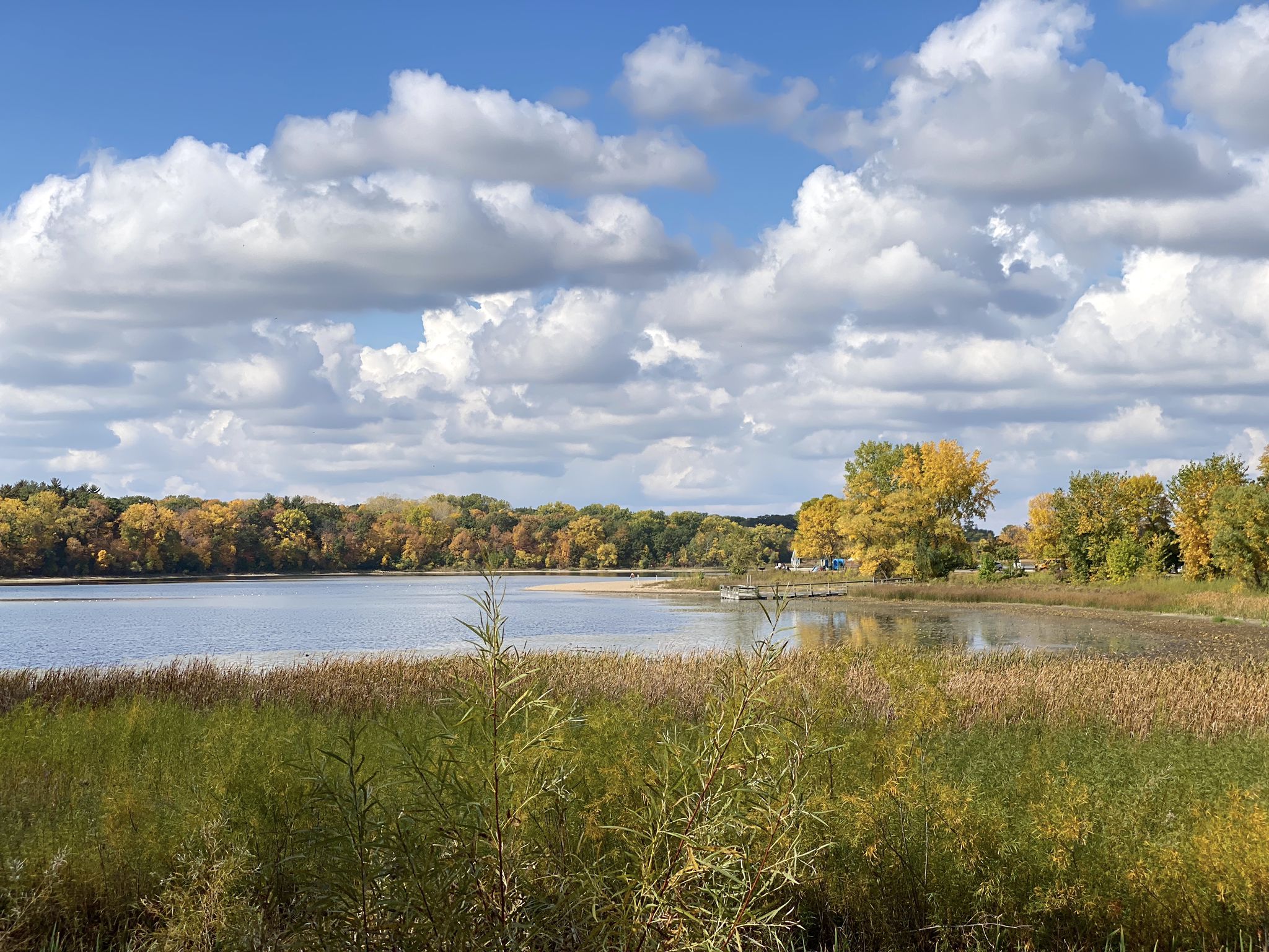 Lake with autumn trees and tall marsh grass under a cloudy blue sky. - Nine Mile Creek and Bloomington Ferry Trail Loop