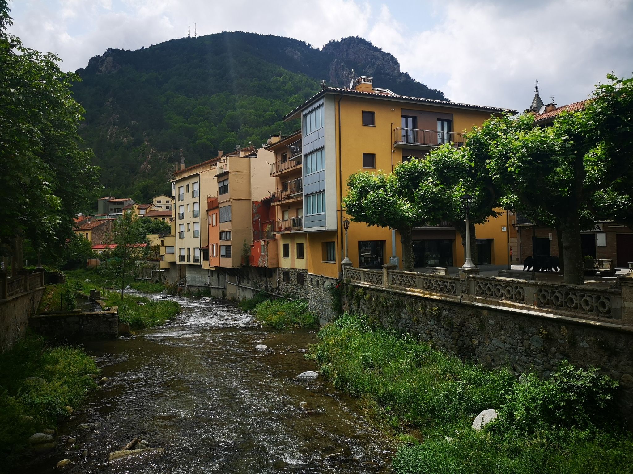 Ribes de Freser