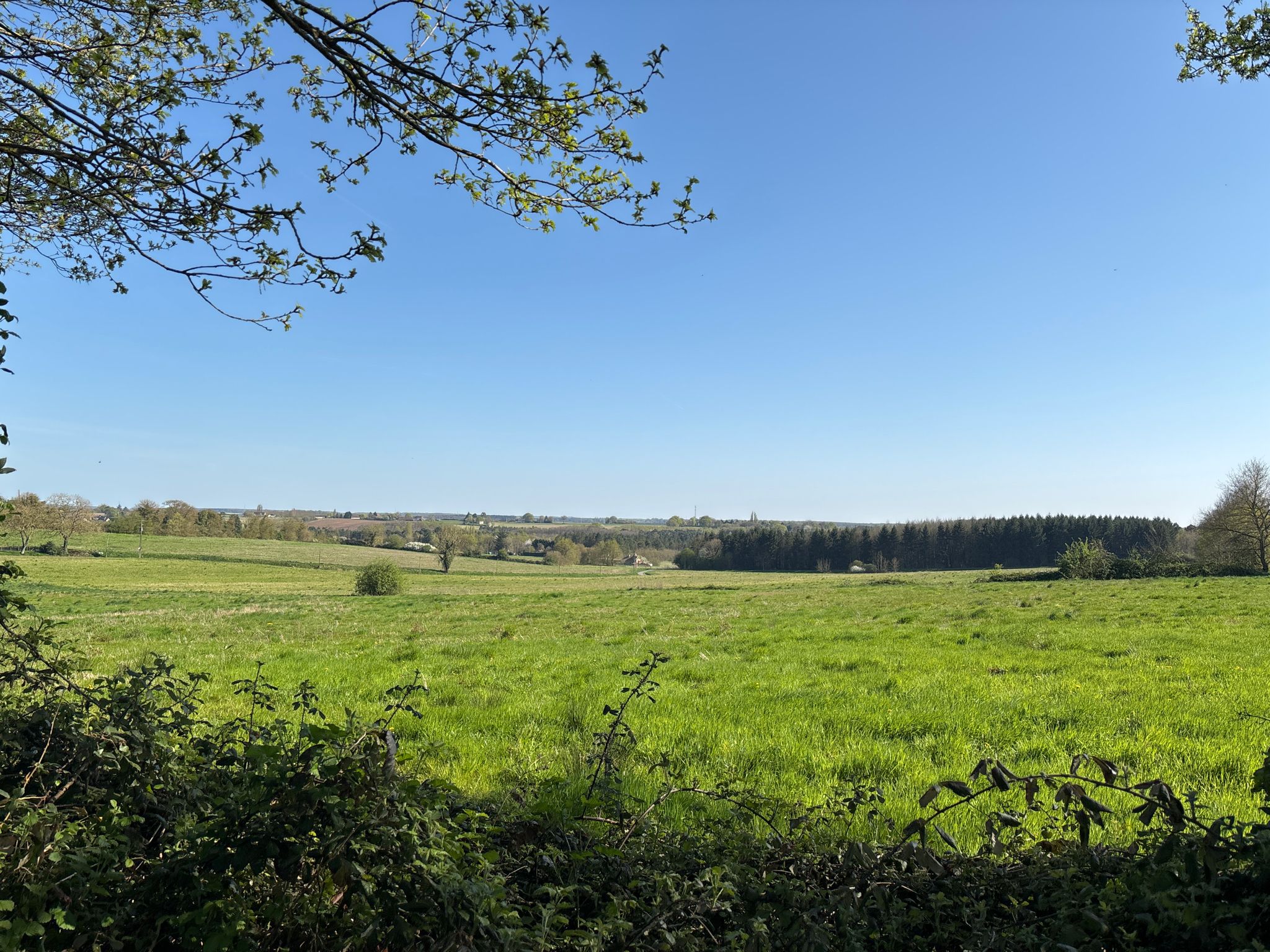 Panorama