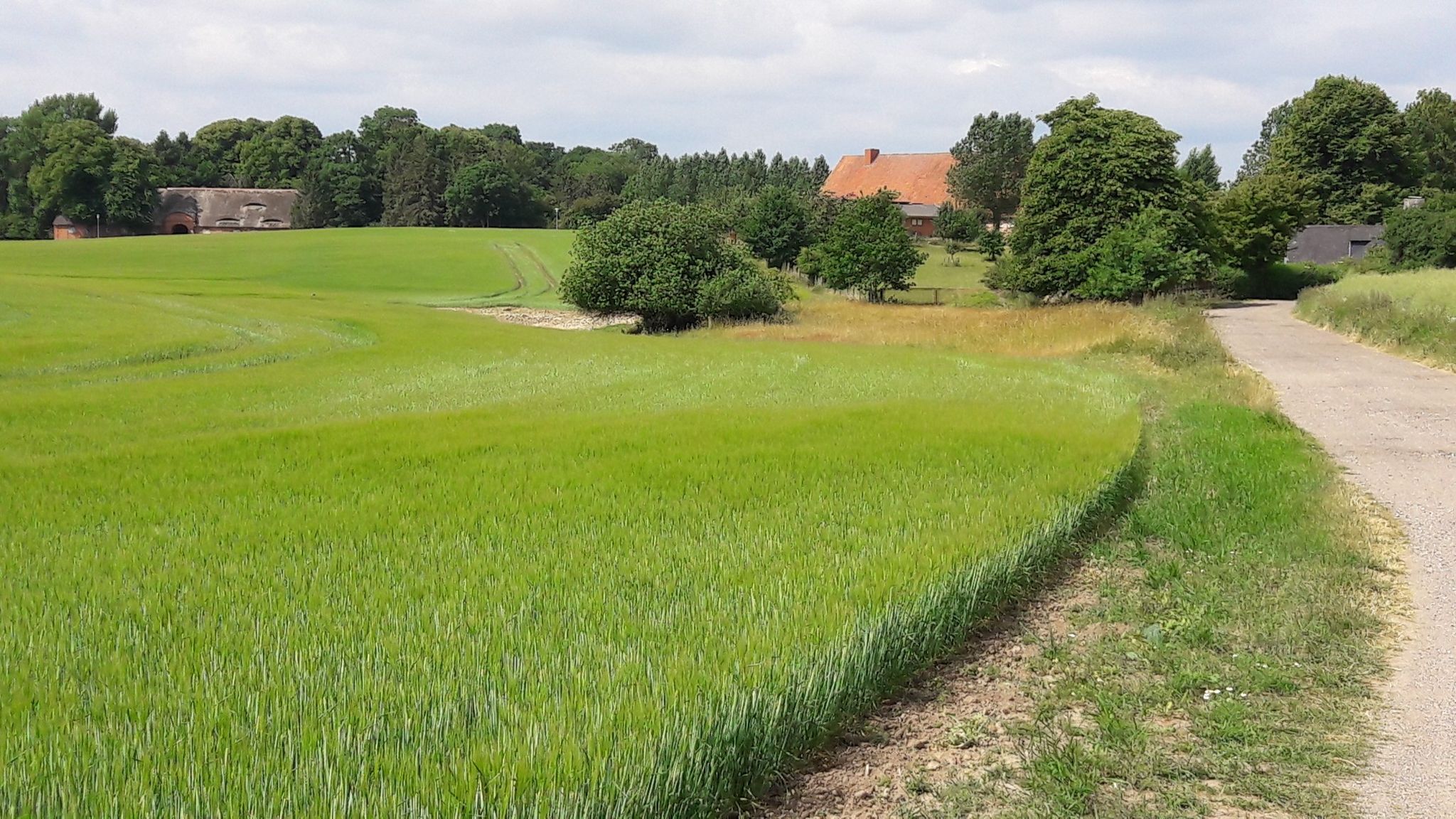 kleines Bauerndorf auf dem Weg durch die Prärie