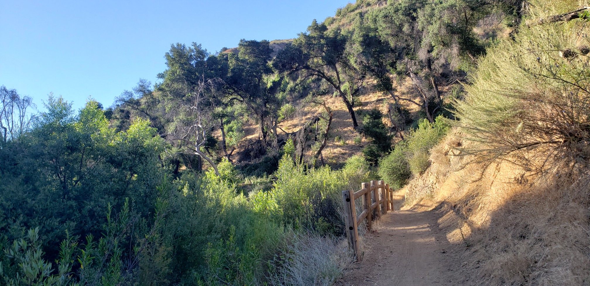 Dirt path with wooden fence alongside a sunny, tree-covered hillside. - Canyon Trail
