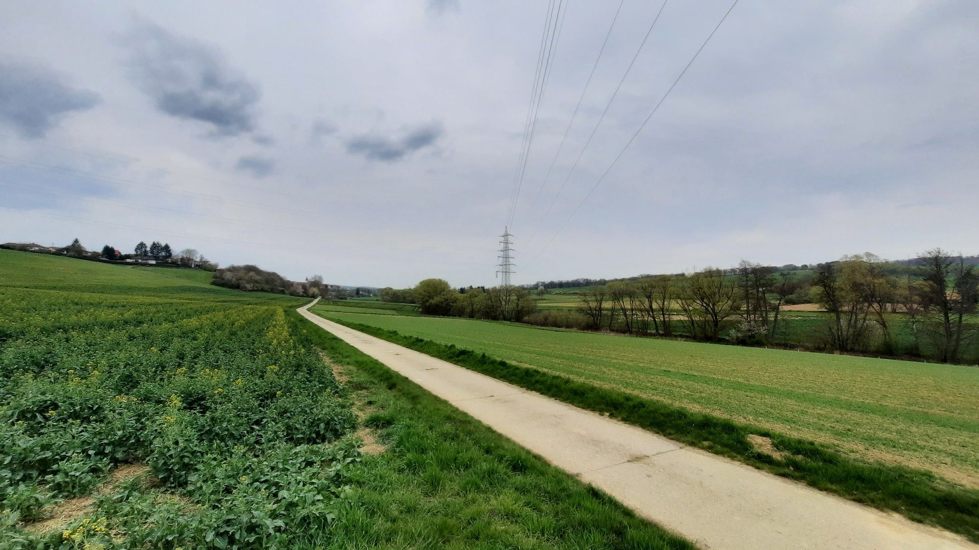 R8 bei Walsdorf