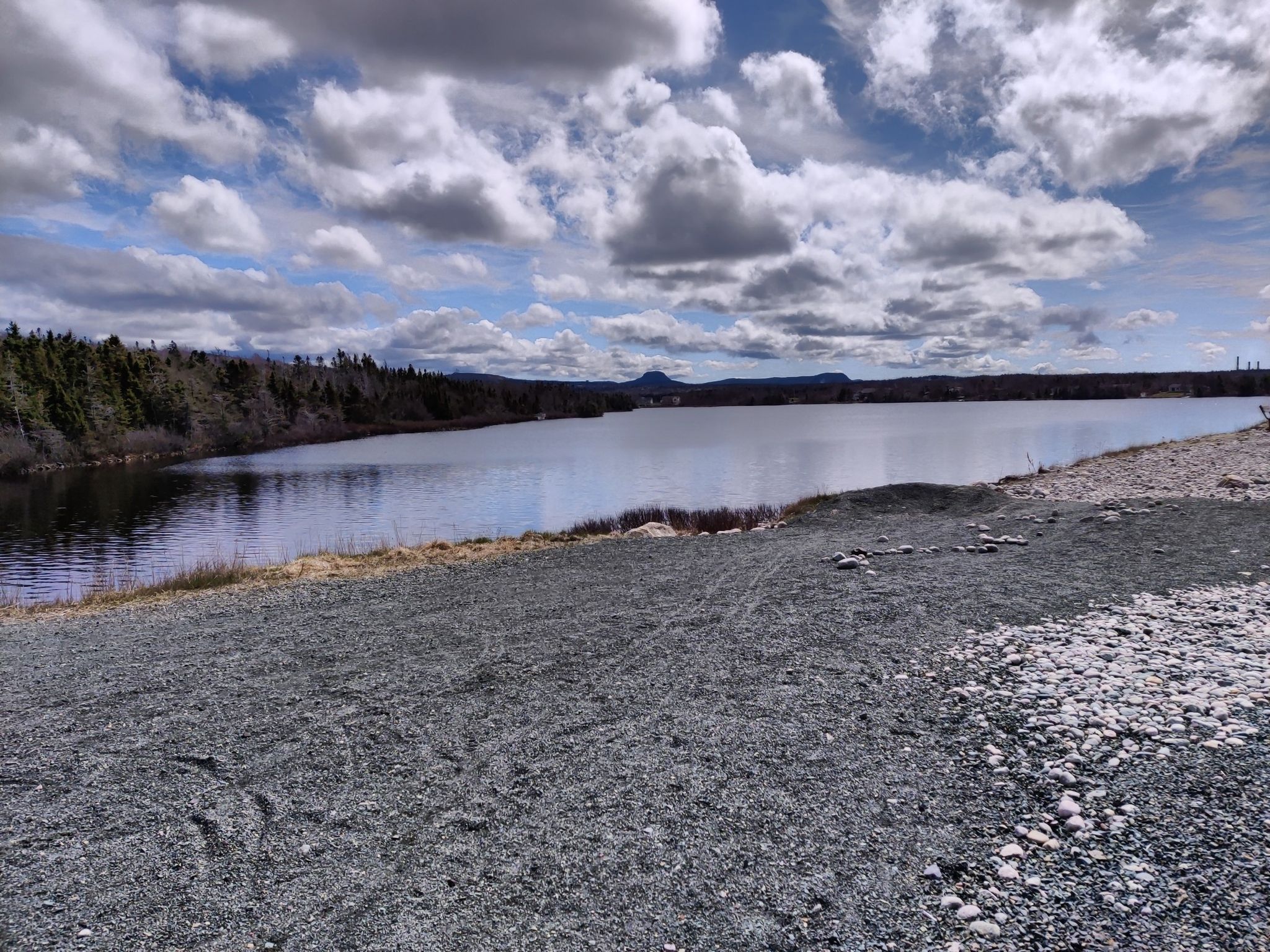 Doyle's Road Trailway Access (end of good trail)