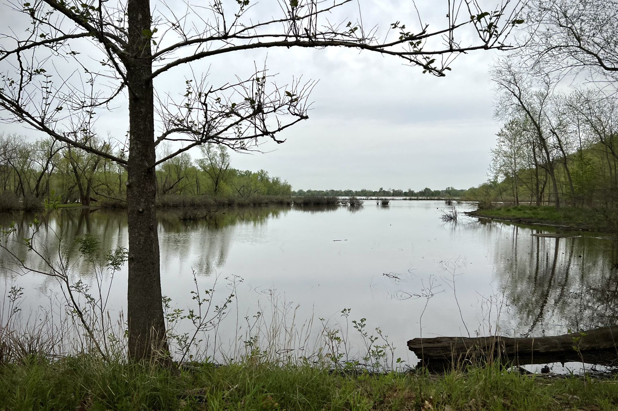 Overcast day over a calm lake surrounded by trees with bare branches. - Mallard Lake Loop Trail