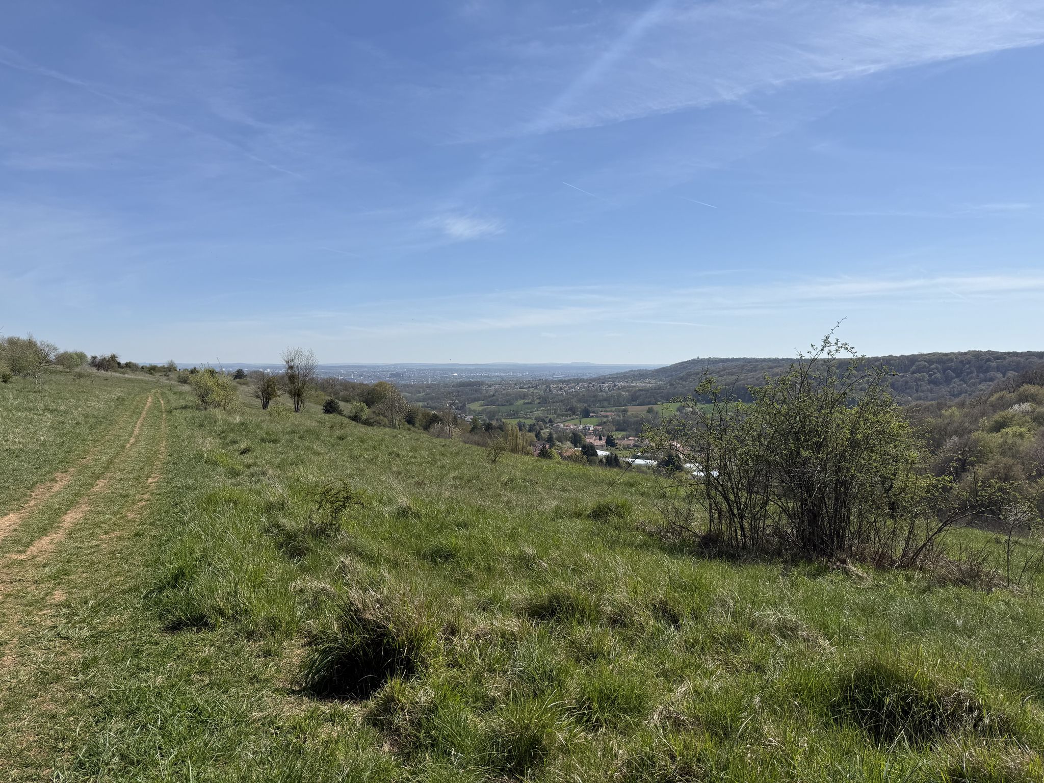 Kalksteinwiesen von Saulny