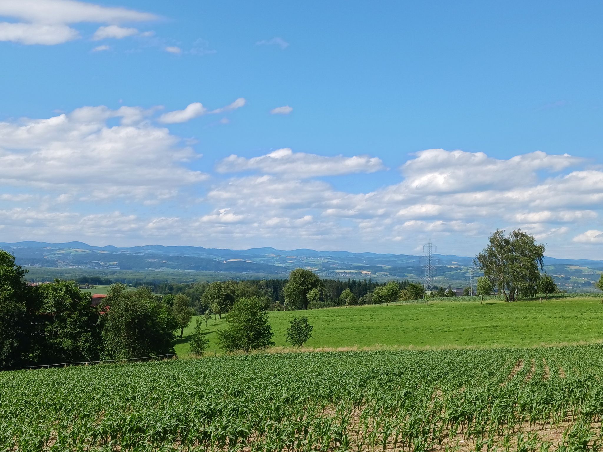 herrlicher Ausblick auf die Burg Klam 